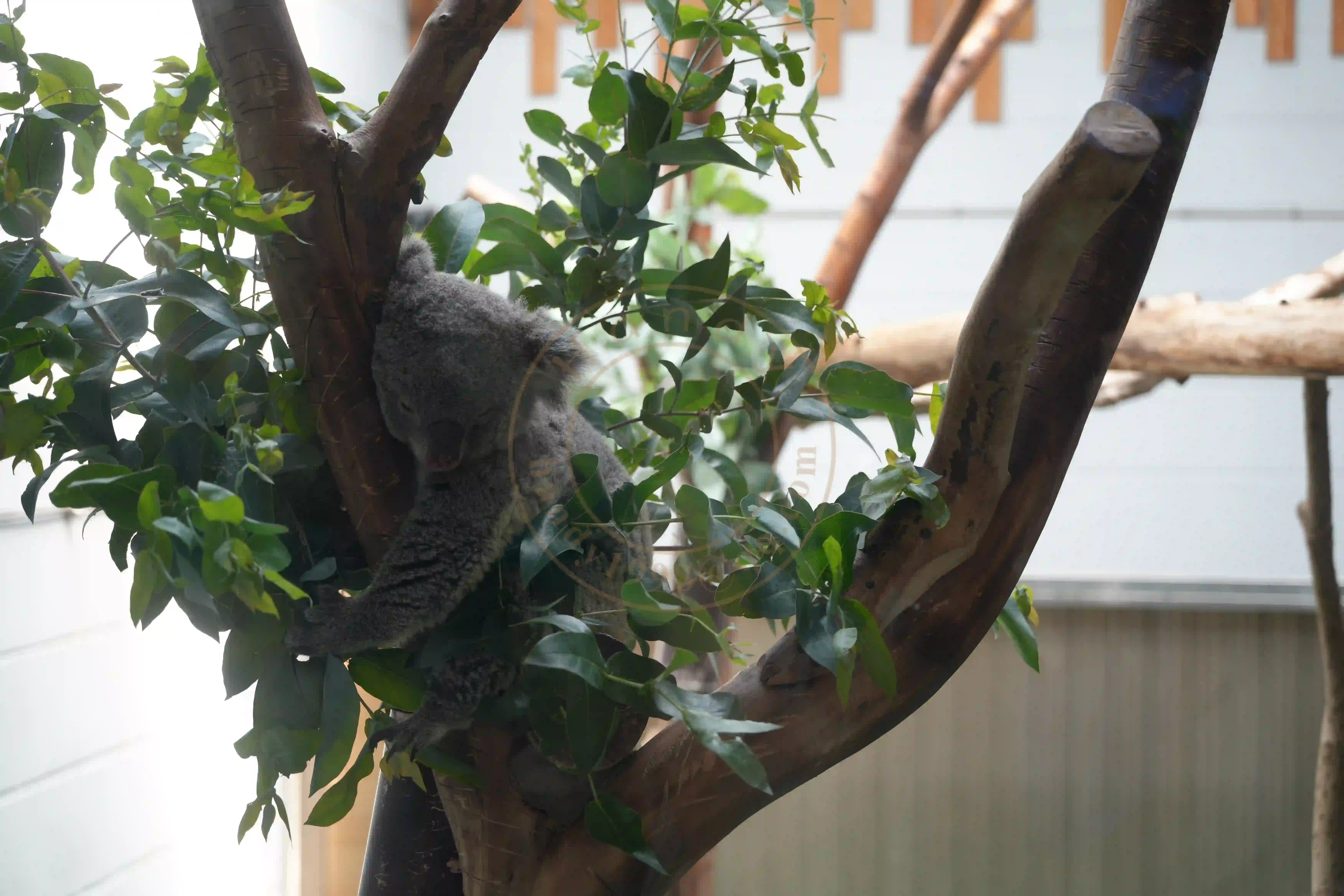 <h2 class='text-xl text-white'></h2>