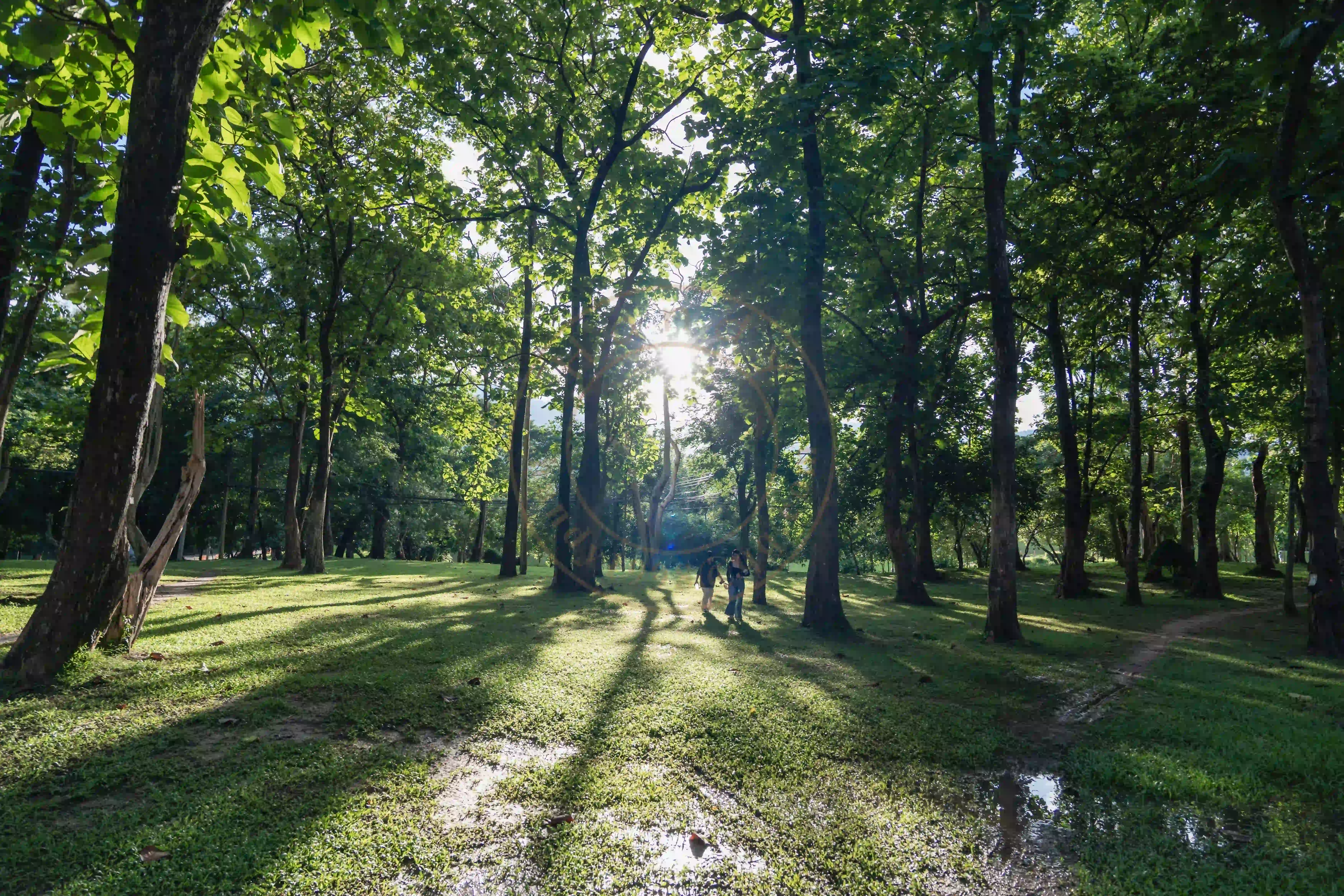 <h2 class='text-xl text-white'></h2>