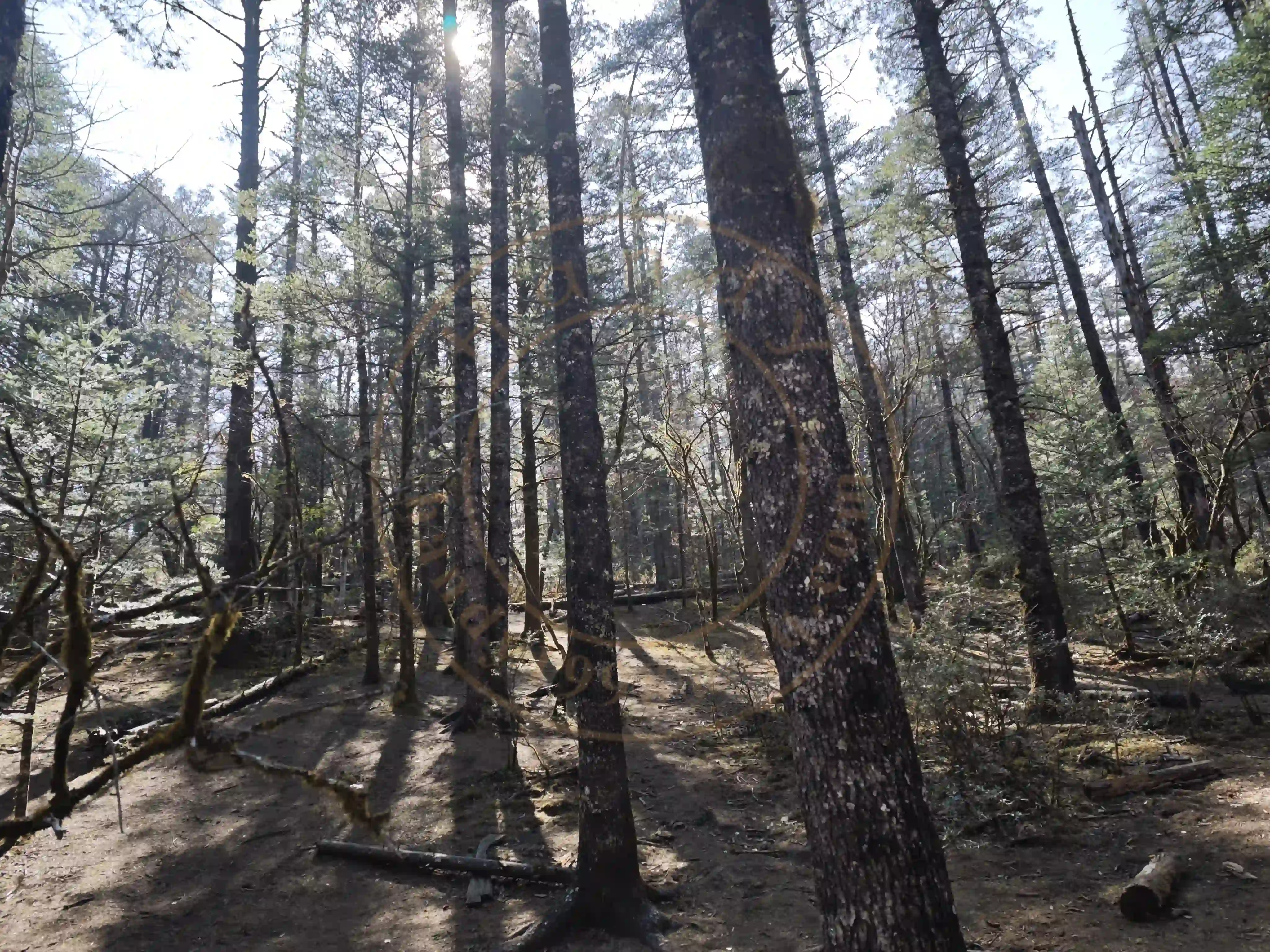 <h2 class='text-xl text-white'></h2>