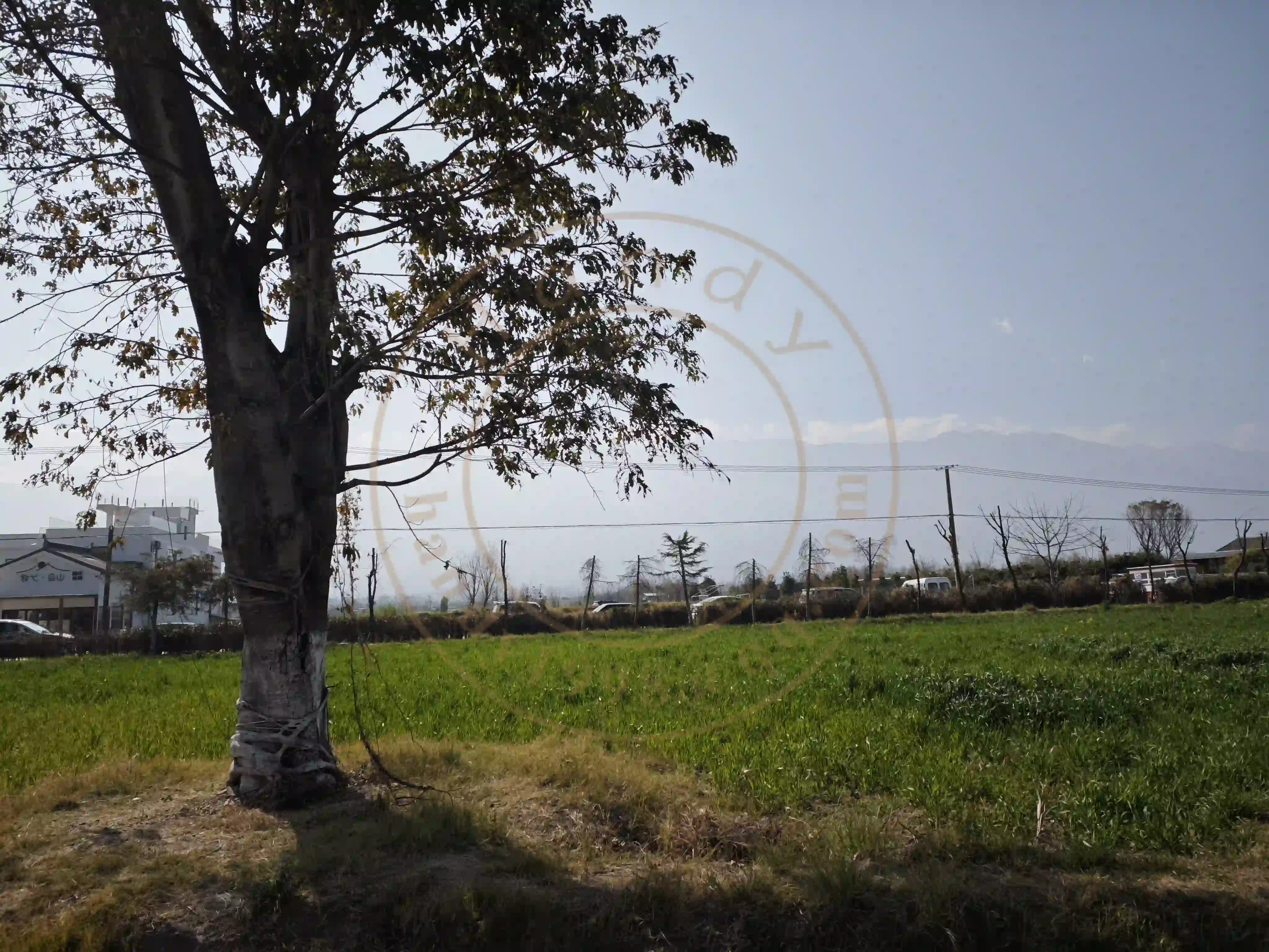 <h2 class='text-xl text-white'></h2>