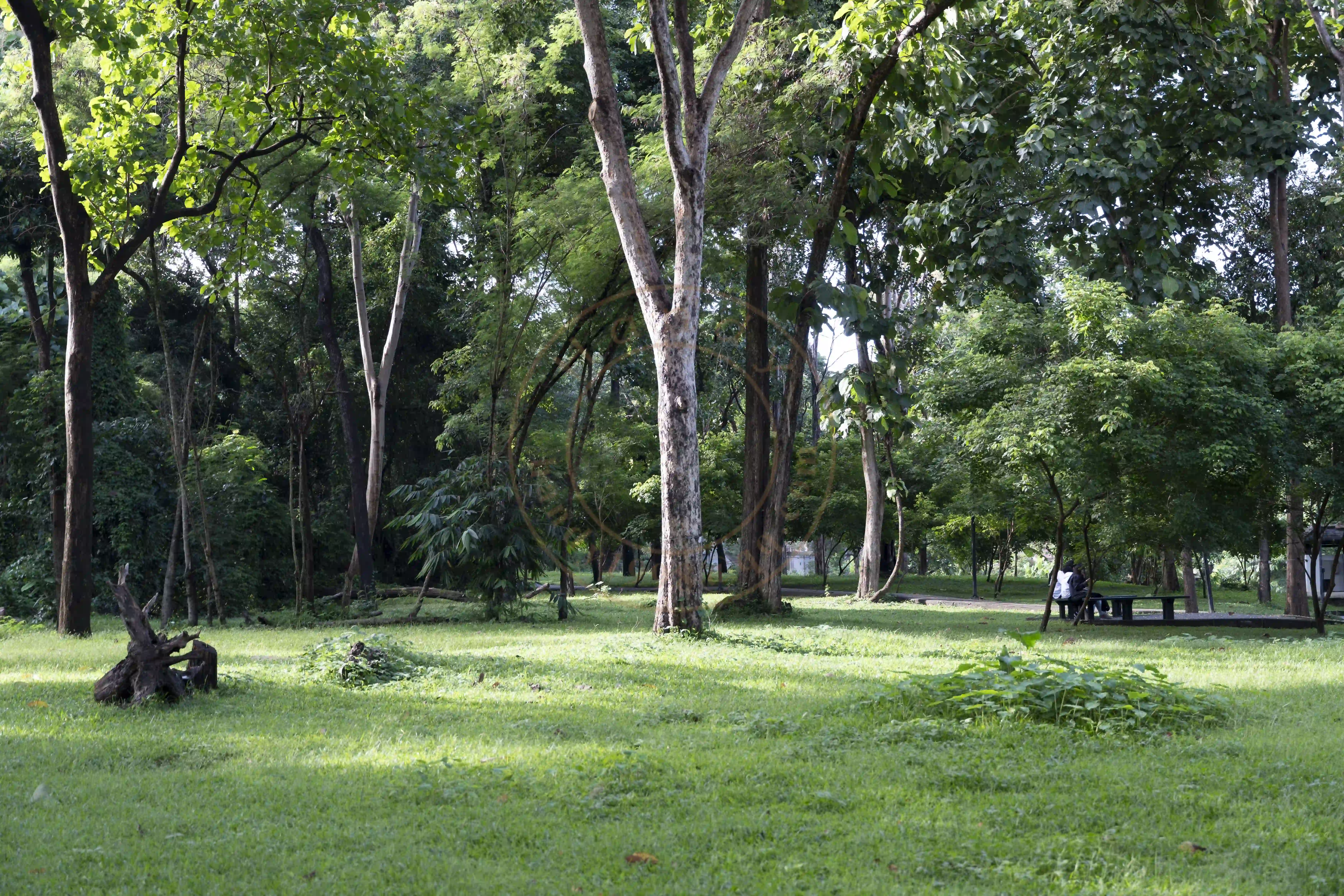 <h2 class='text-xl text-white'></h2>