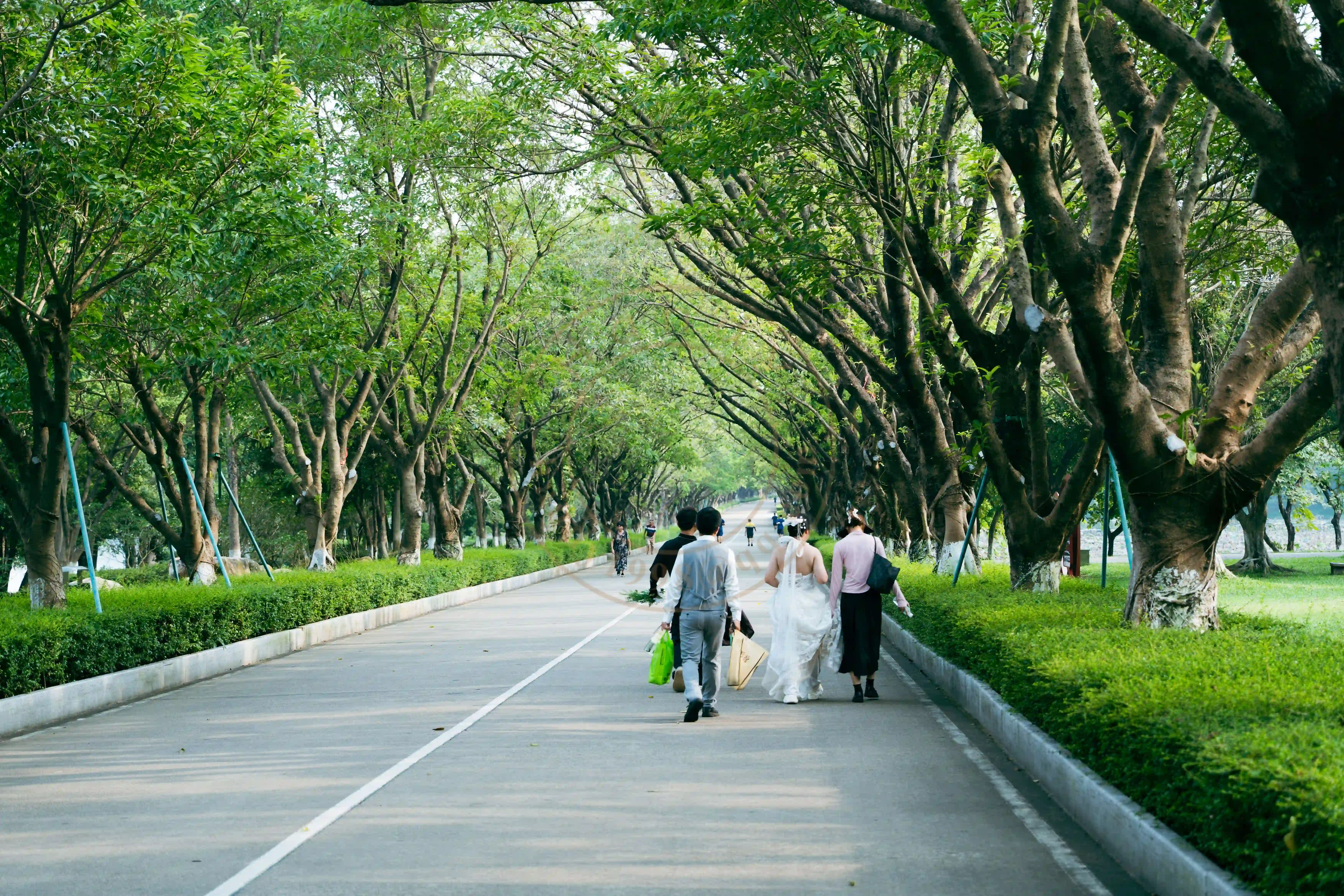 <h2 class='text-xl text-white'></h2>