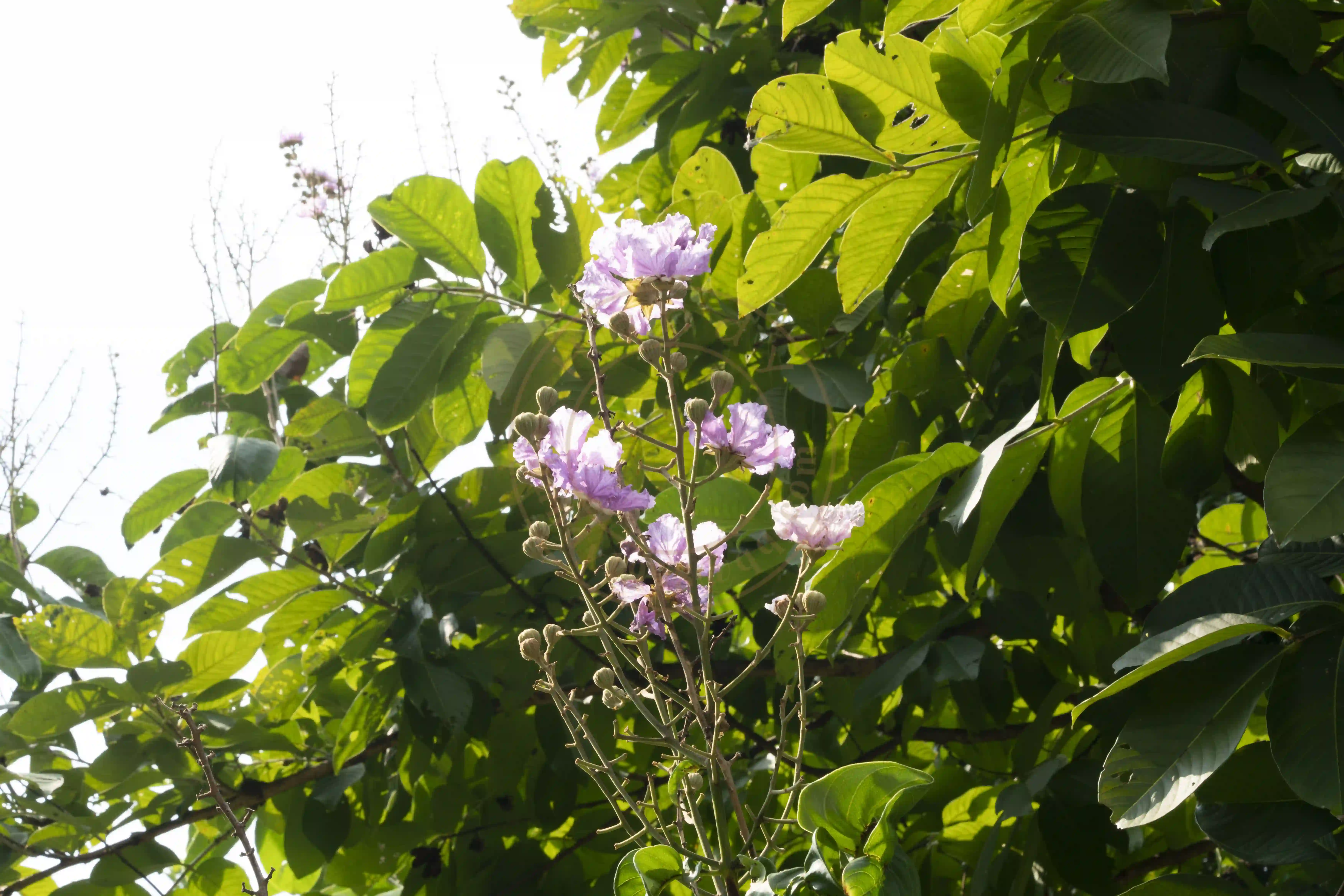 <h2 class='text-xl text-white'></h2>