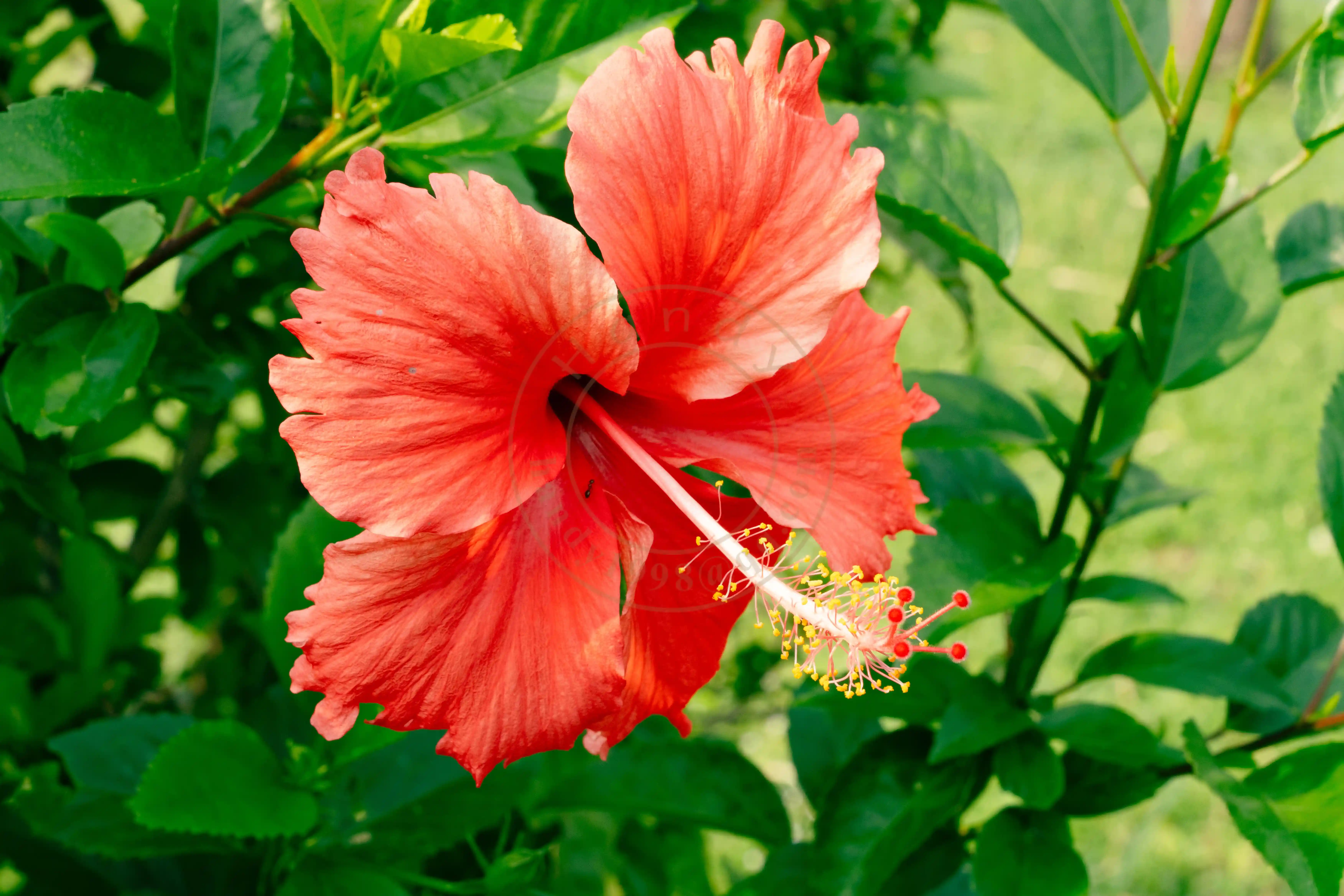 <h2 class='text-xl text-white'></h2>