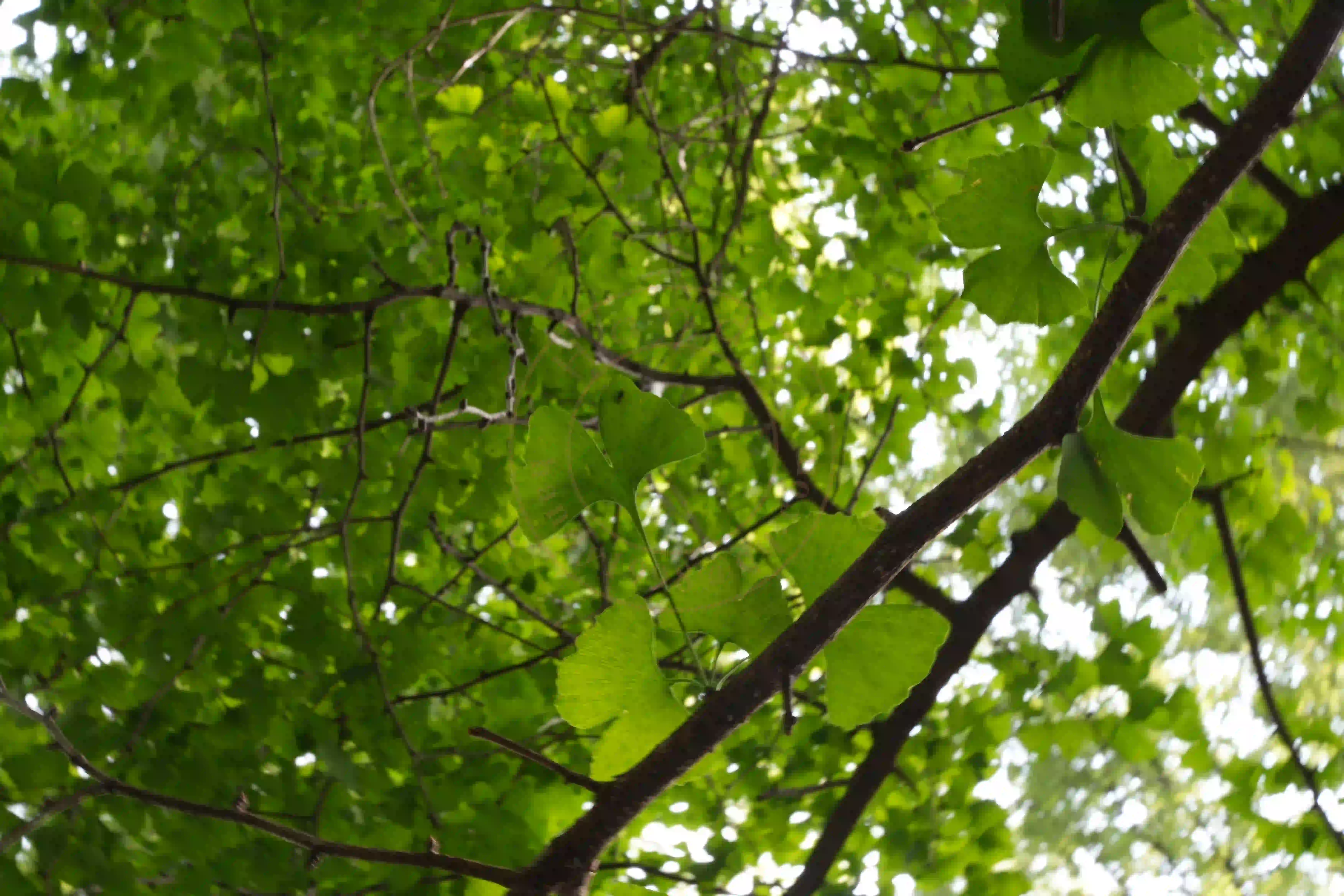 <h2 class='text-xl text-white'></h2>