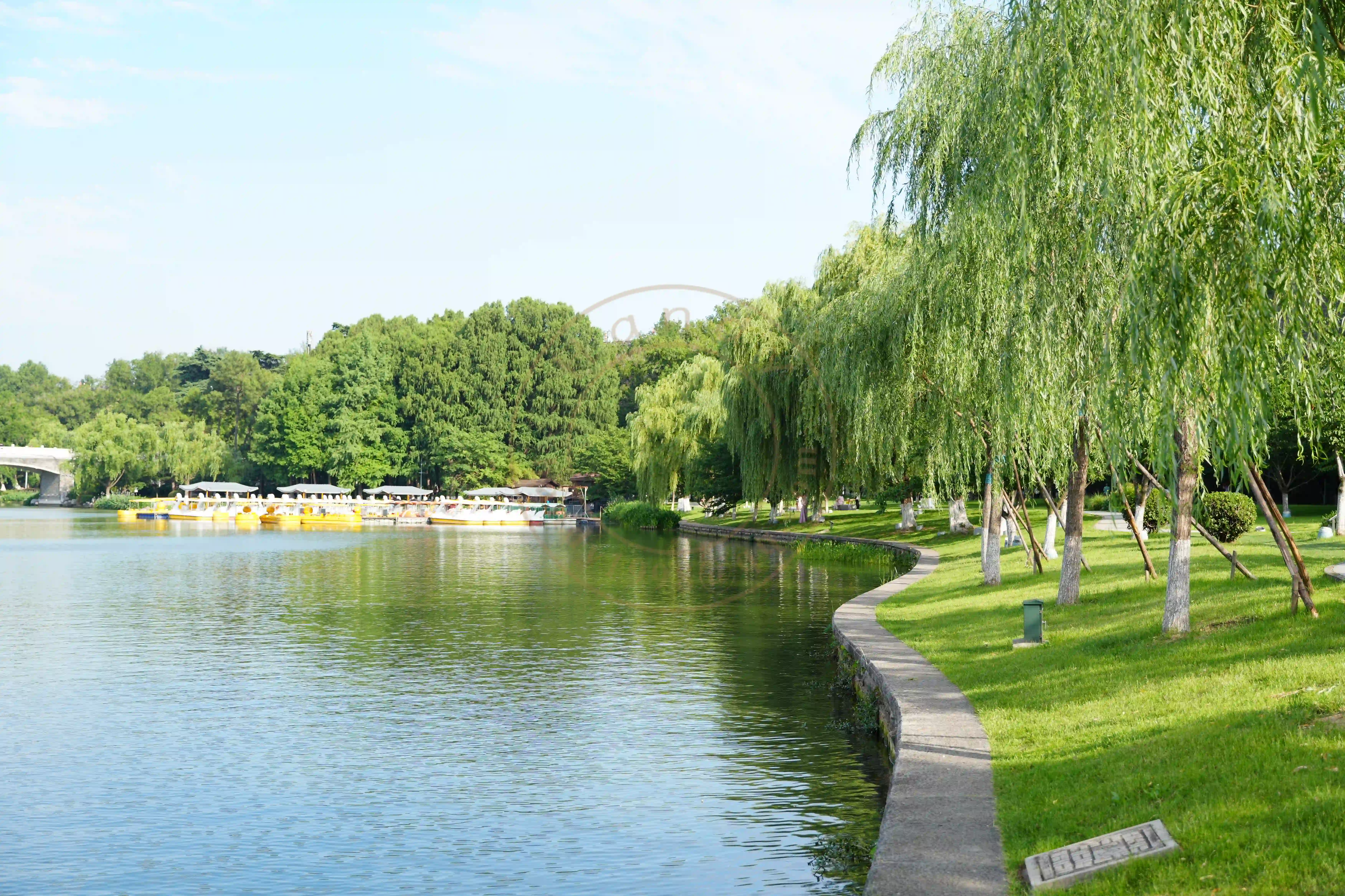 <h2 class='text-xl text-white'></h2>