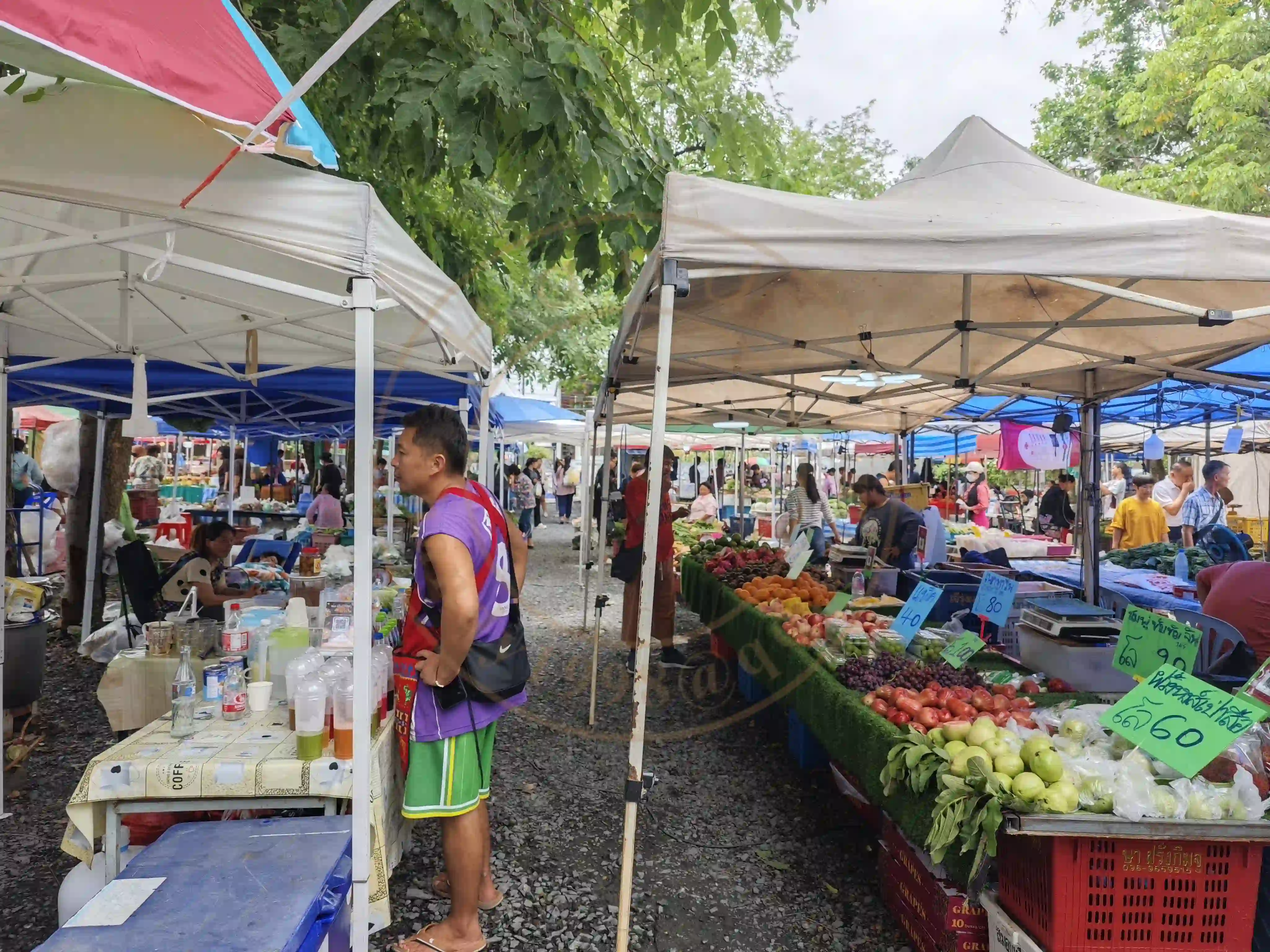 <h2 class='text-xl text-white'></h2>