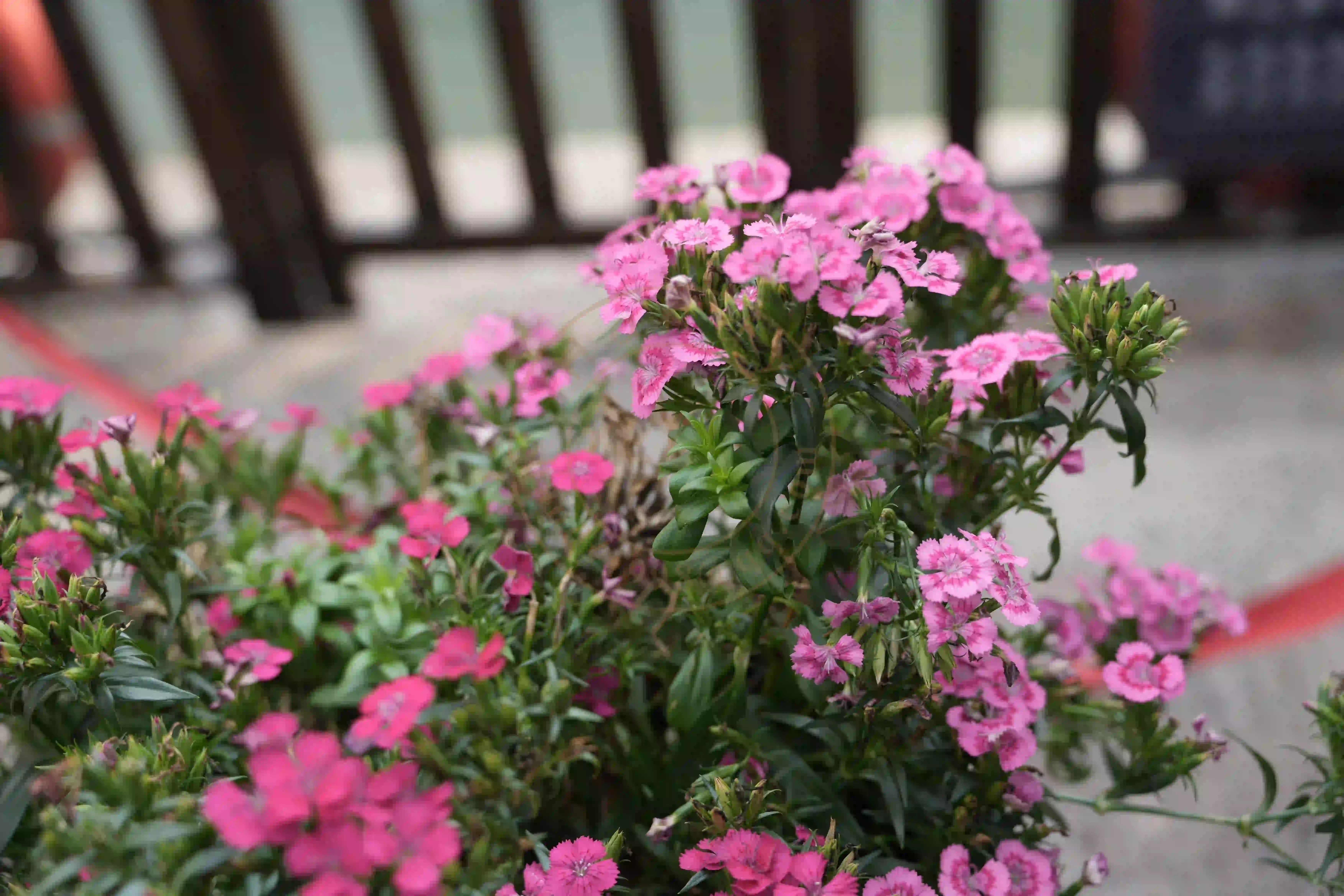 <h2 class='text-xl text-white'></h2>