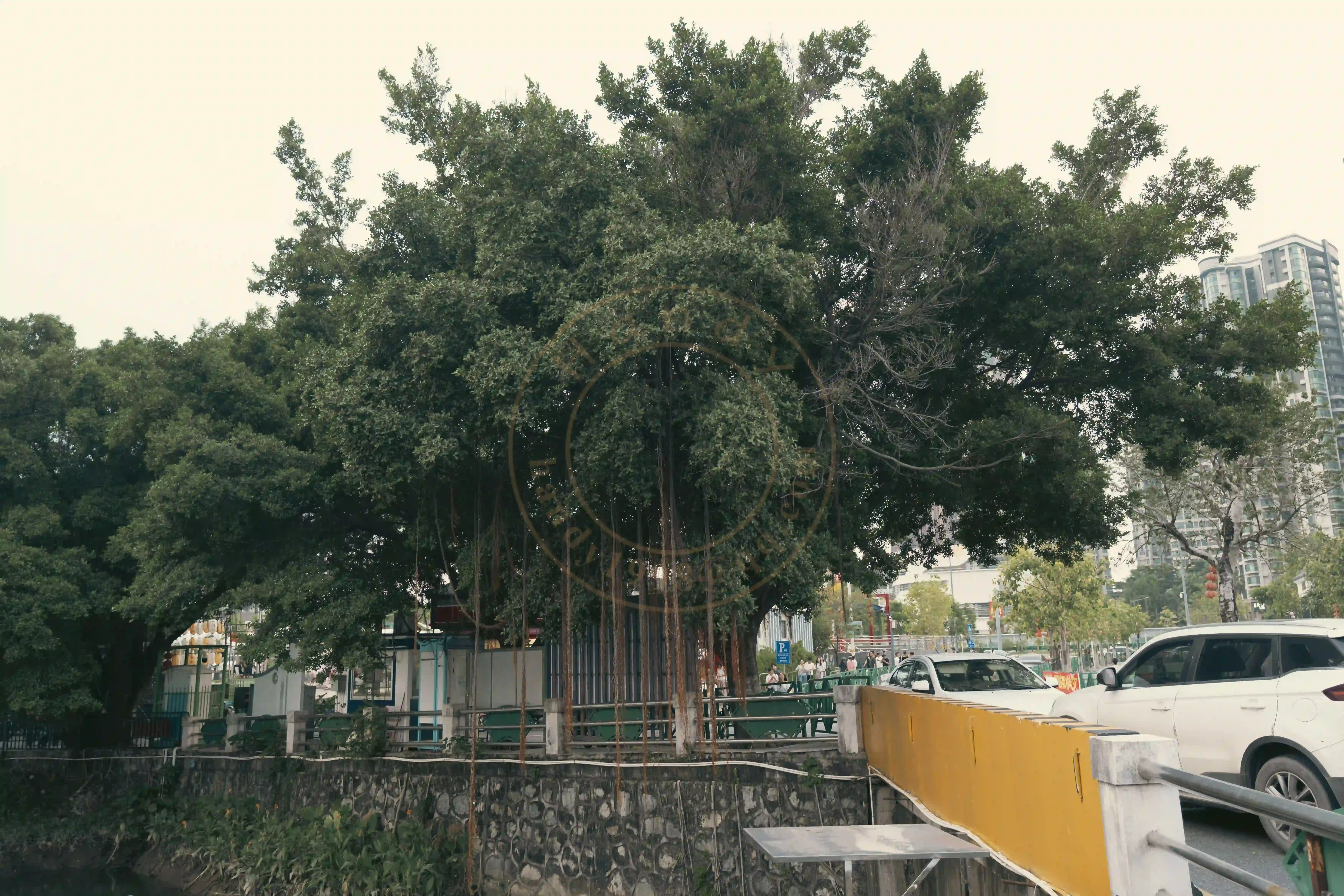 <h2 class='text-xl text-white'></h2>