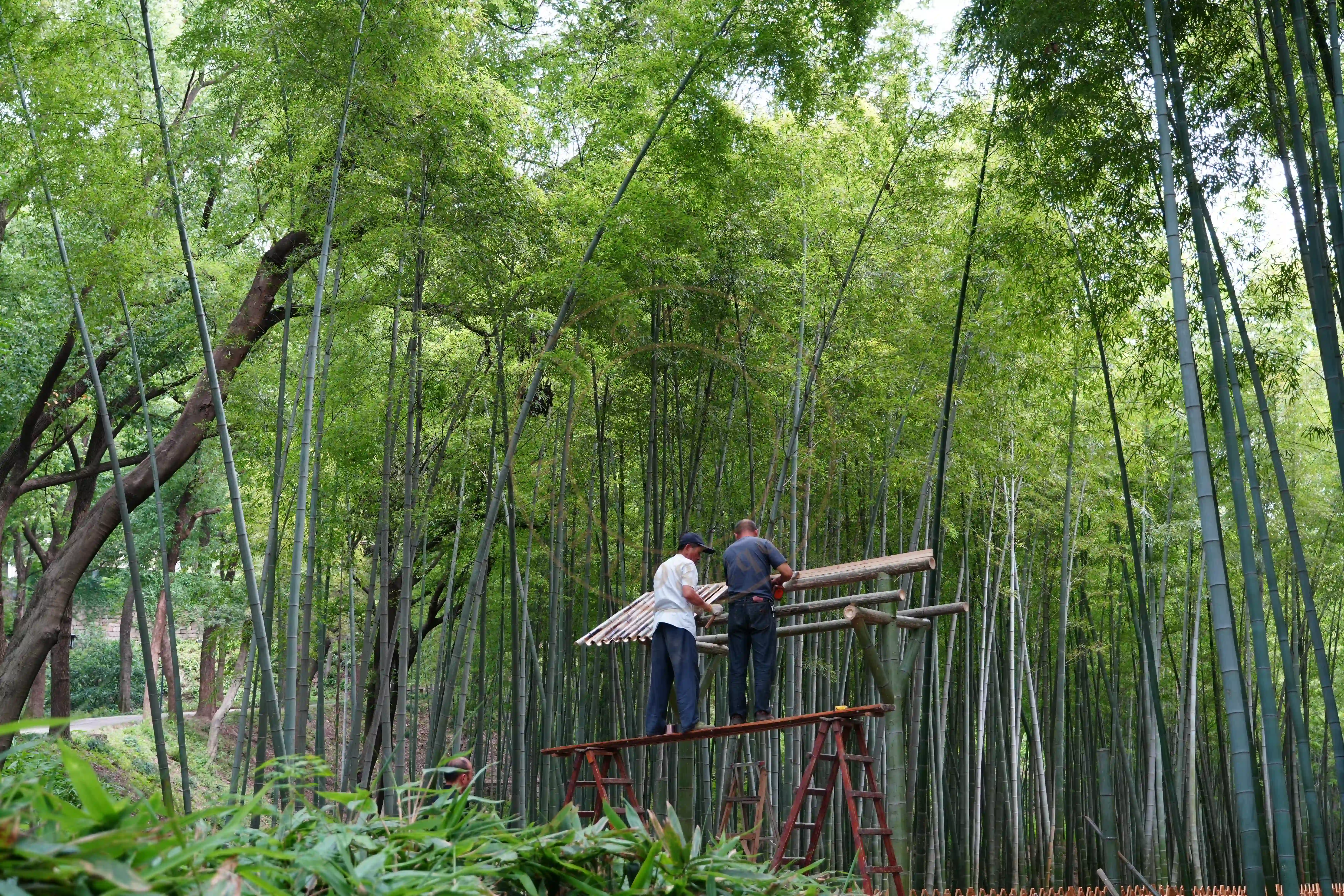 <h2 class='text-xl text-white'></h2>