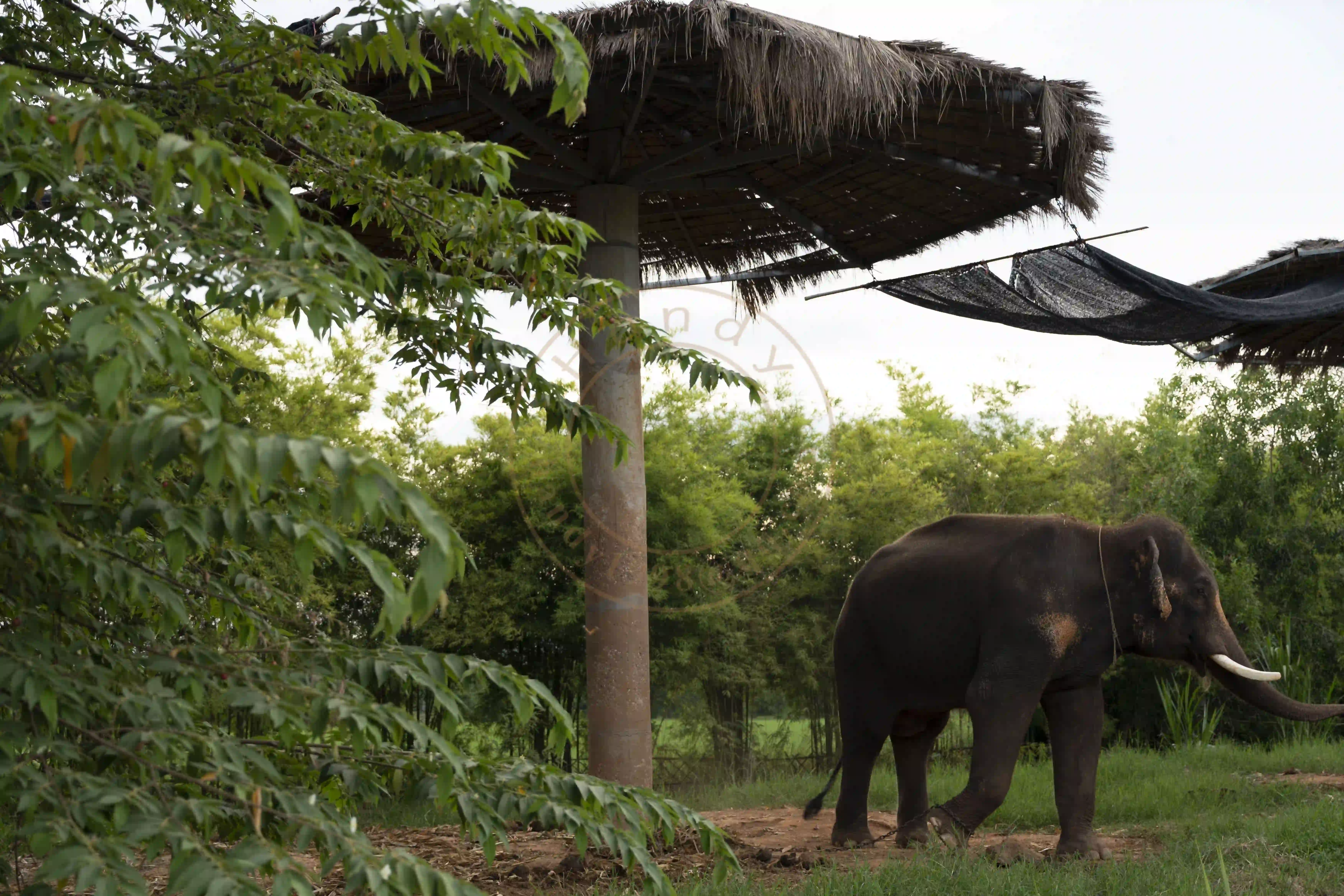 <h2 class='text-xl text-white'></h2>