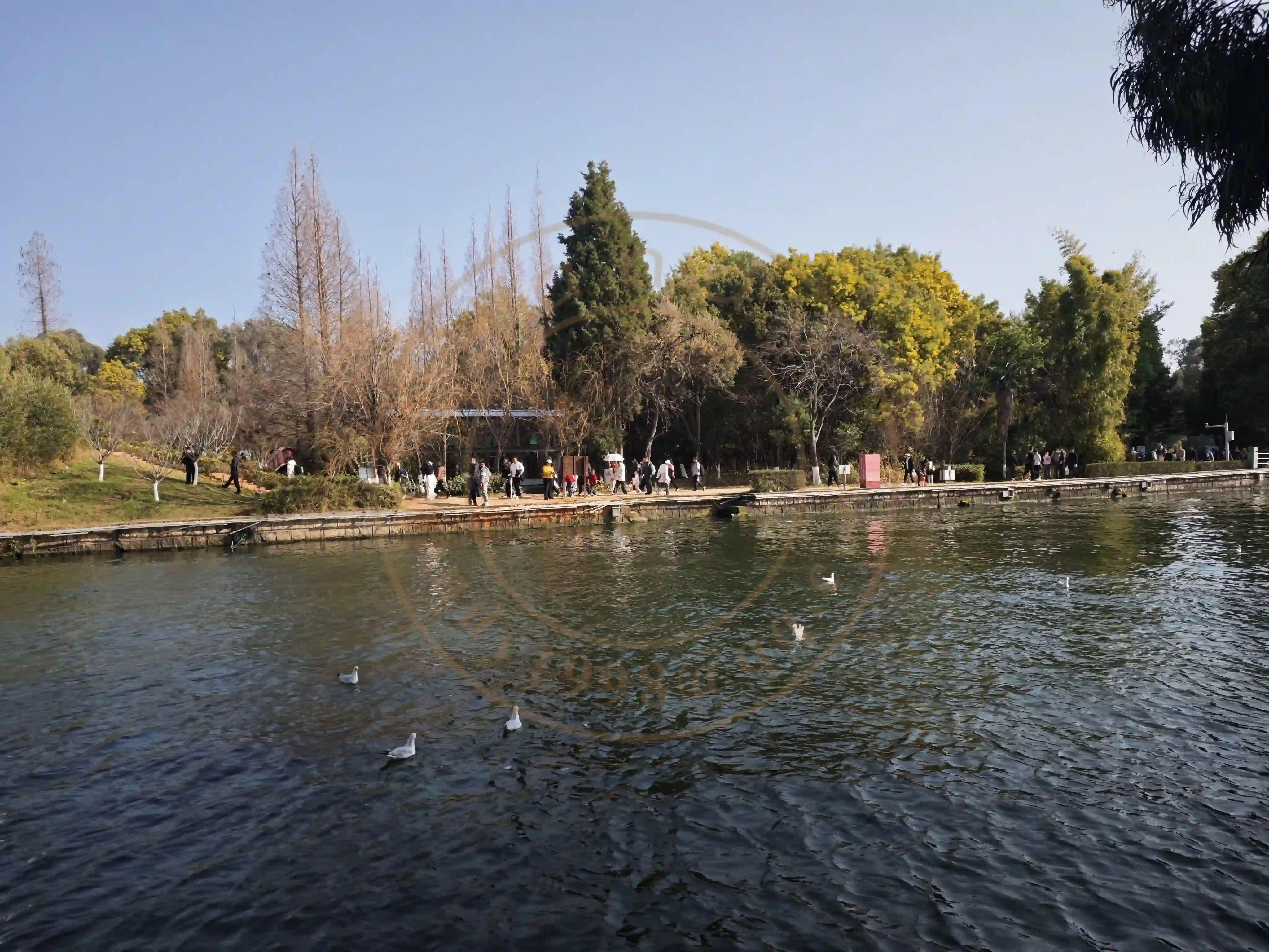 <h2 class='text-xl text-white'></h2>