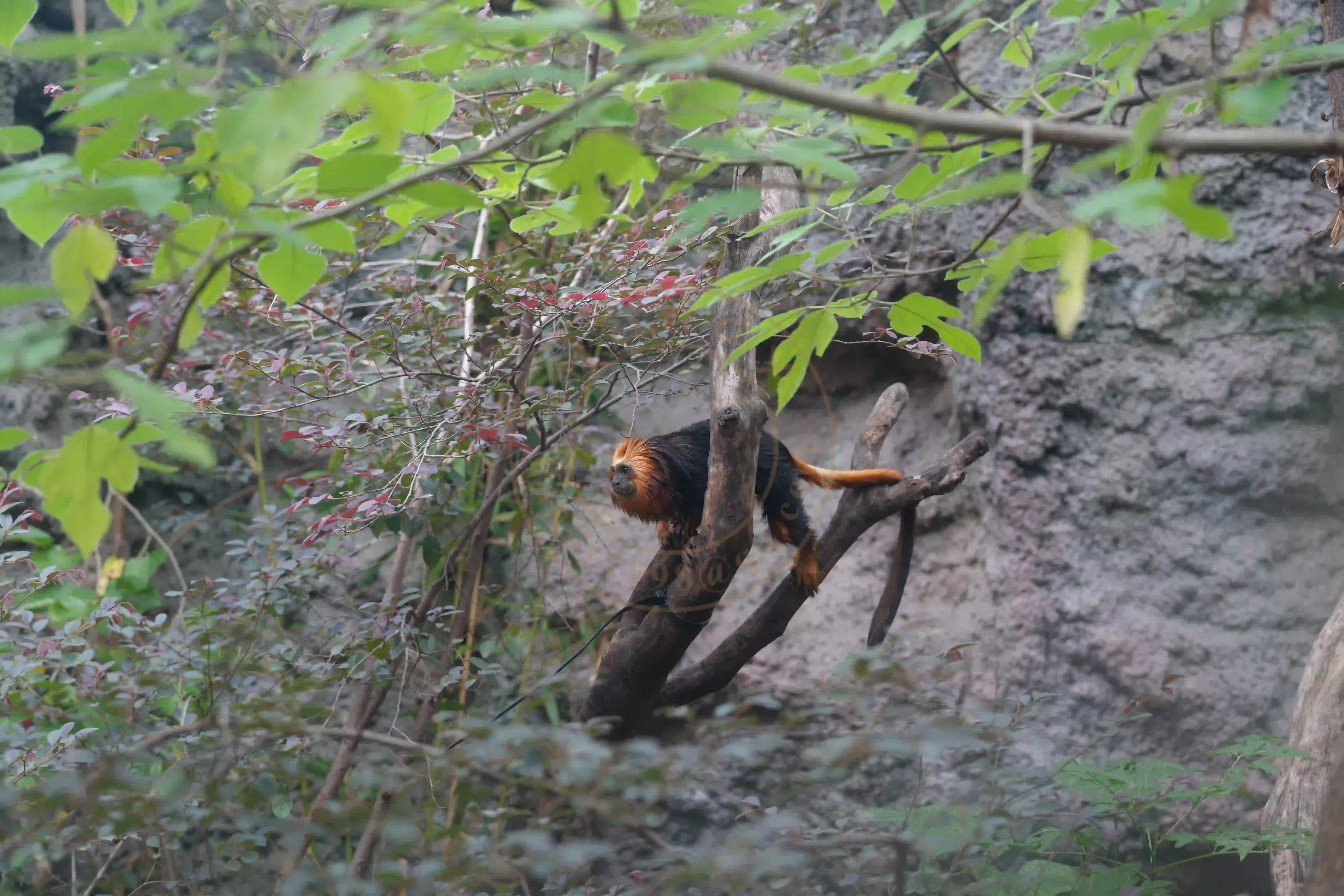 <h2 class='text-xl text-white'></h2>