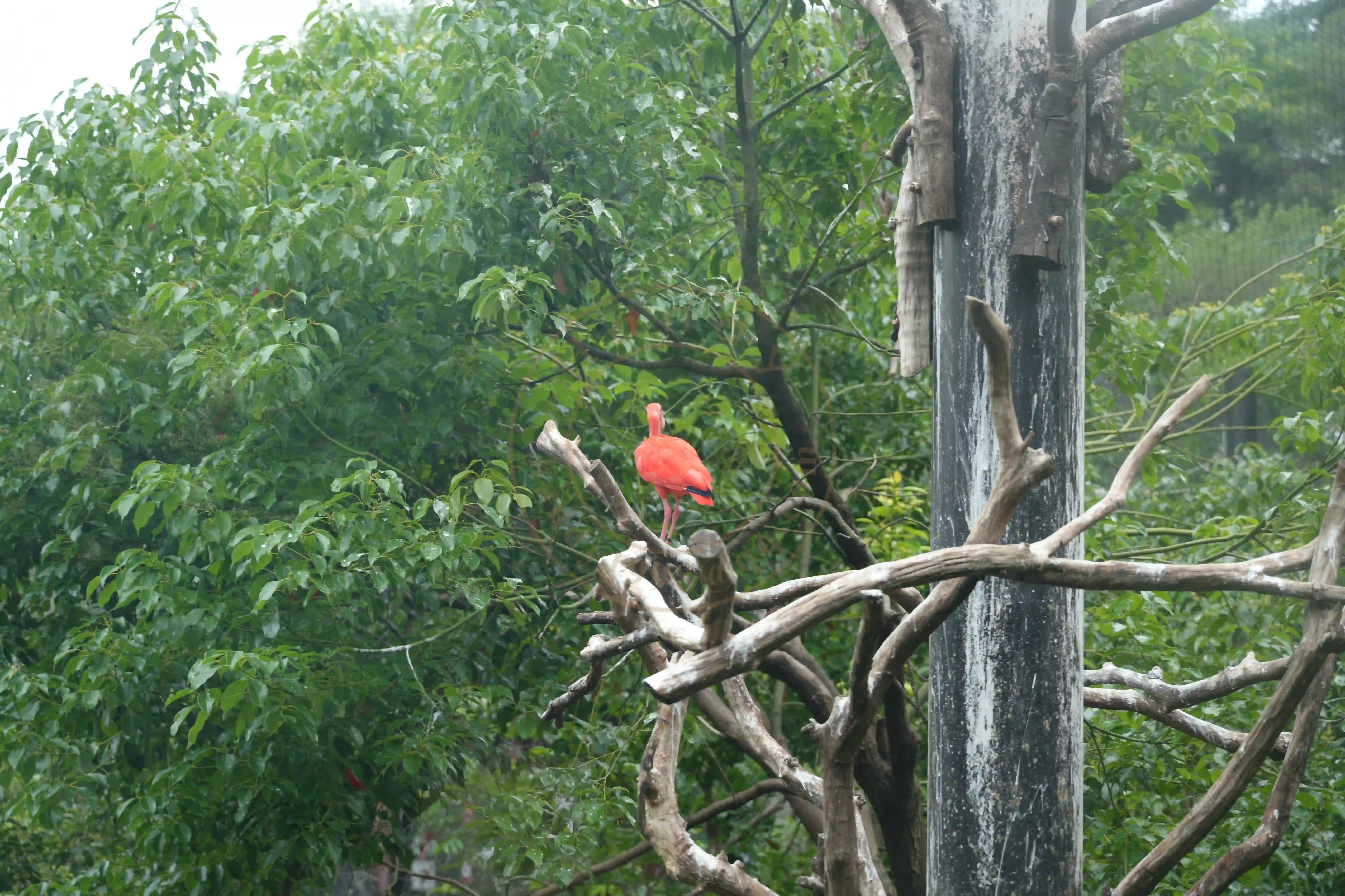 <h2 class='text-xl text-white'></h2>