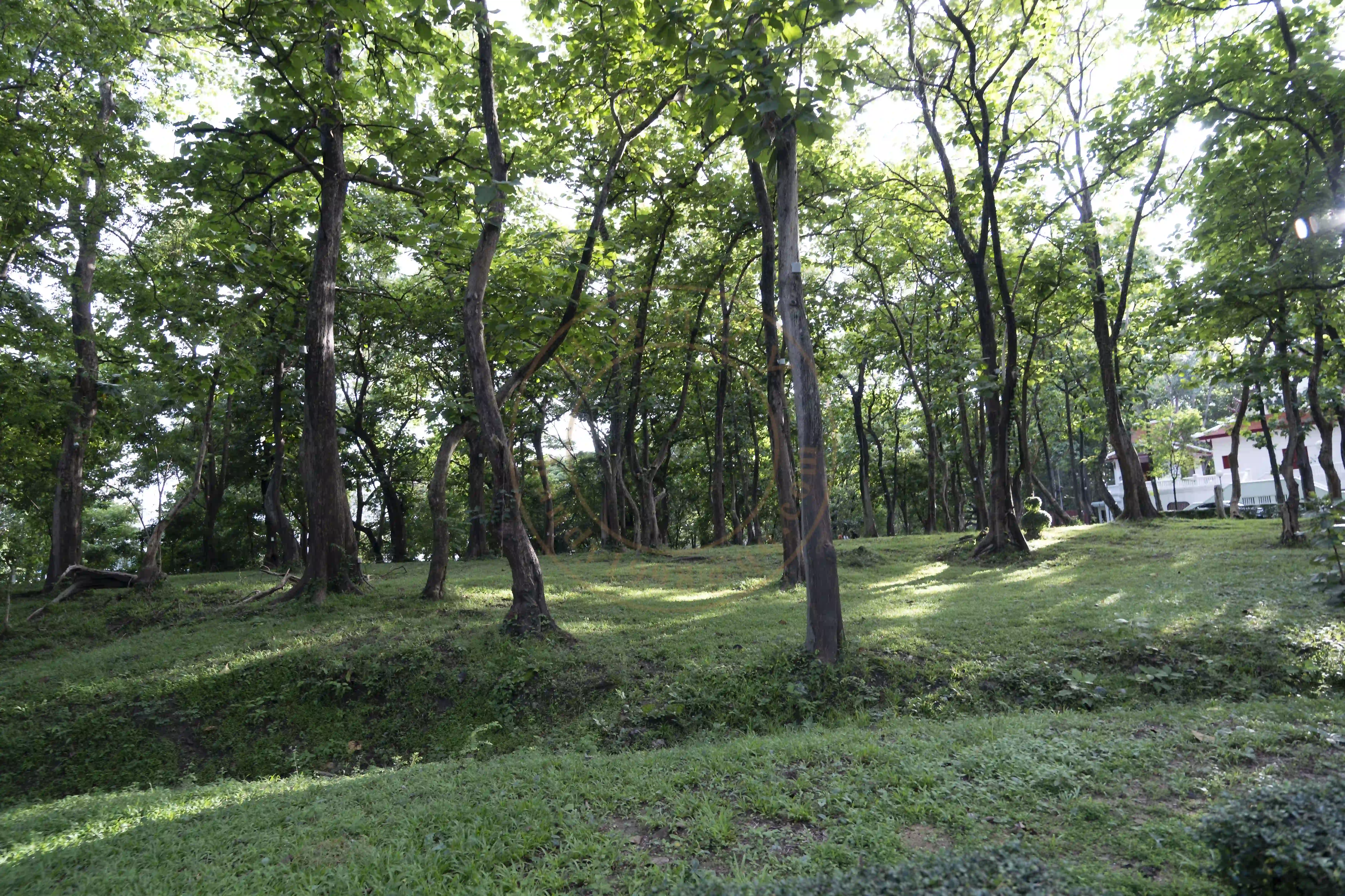 <h2 class='text-xl text-white'></h2>