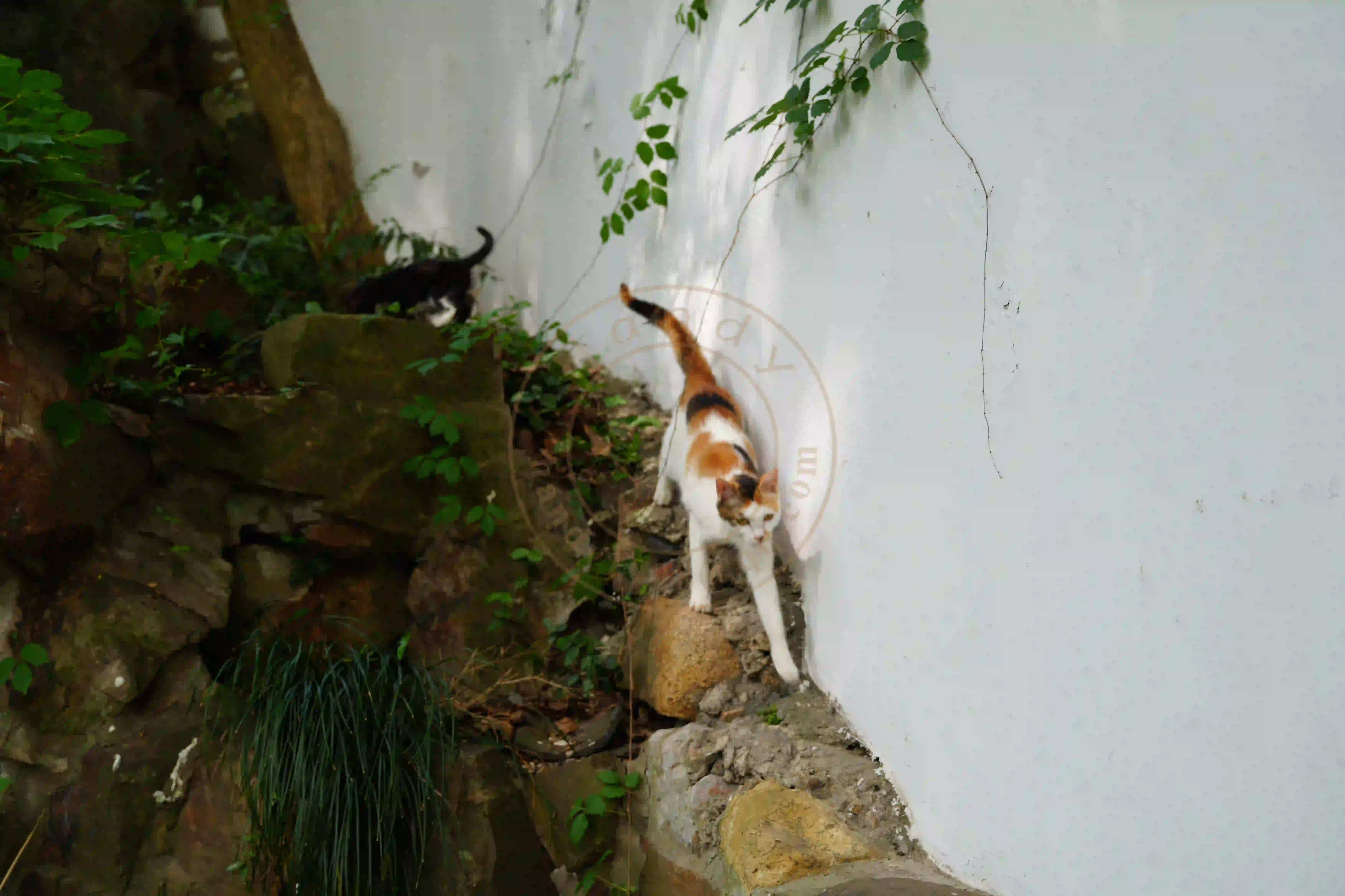 <h2 class='text-xl text-white'></h2>