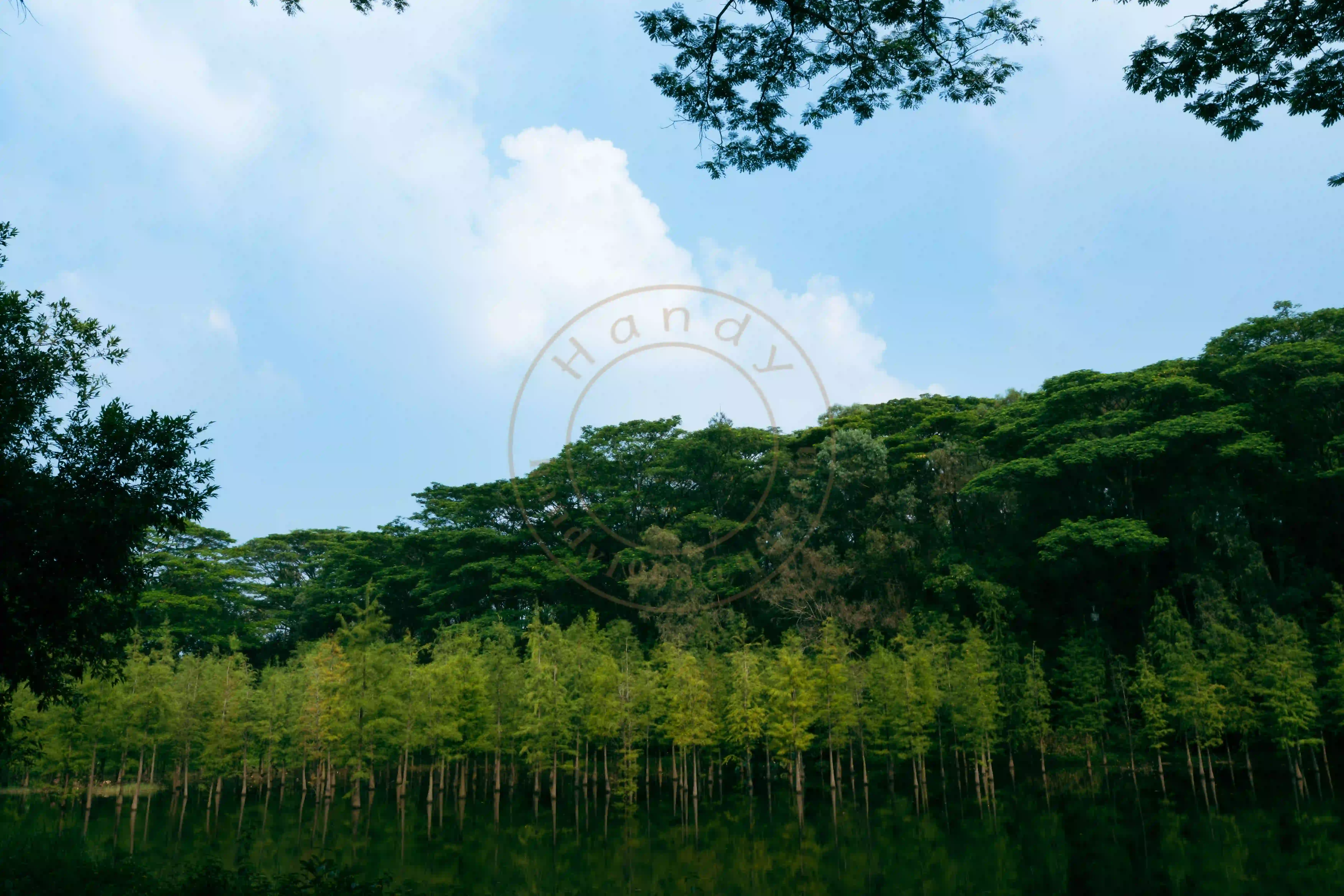 <h2 class='text-xl text-white'></h2>