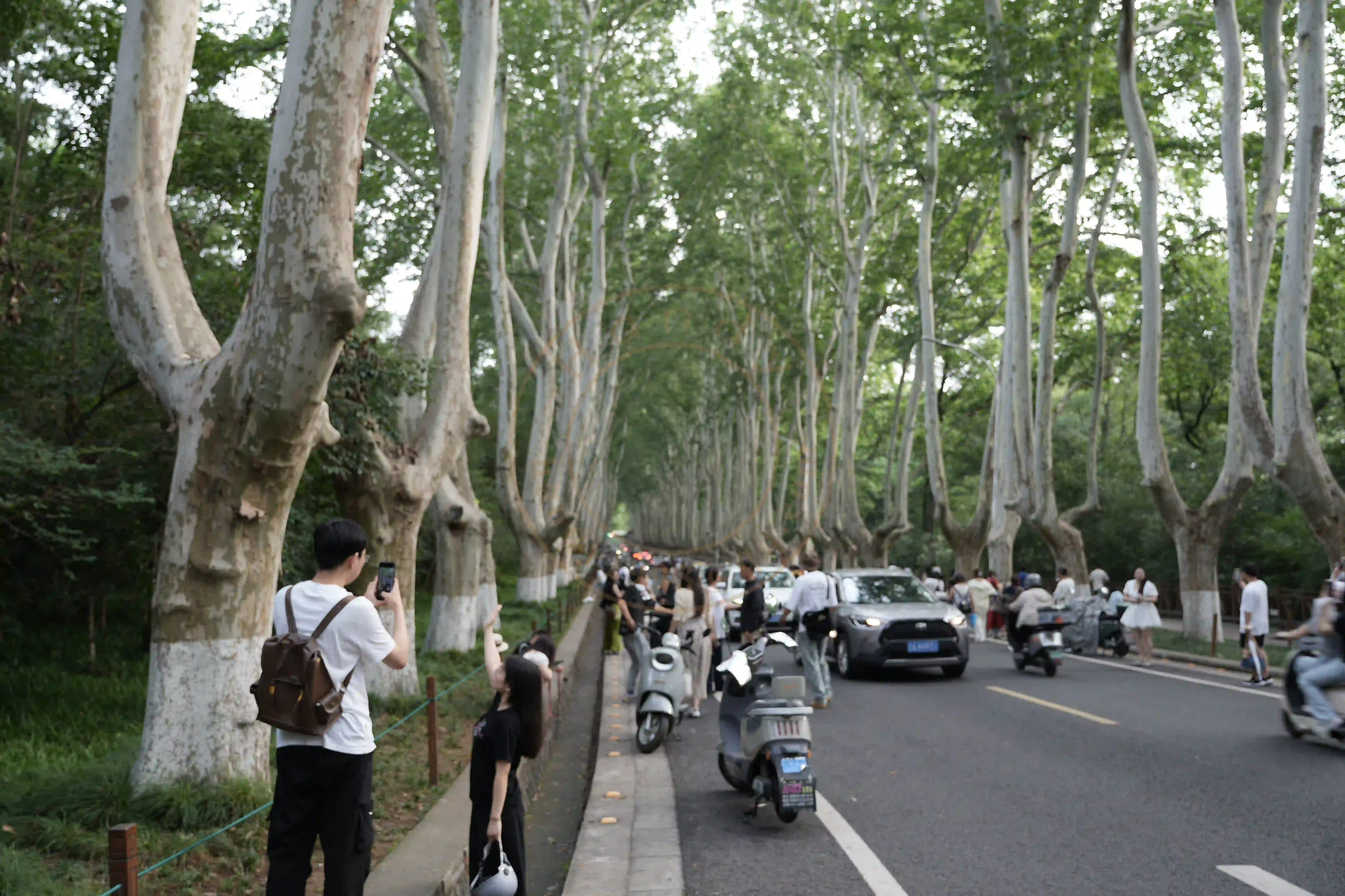 <h2 class='text-xl text-white'></h2>