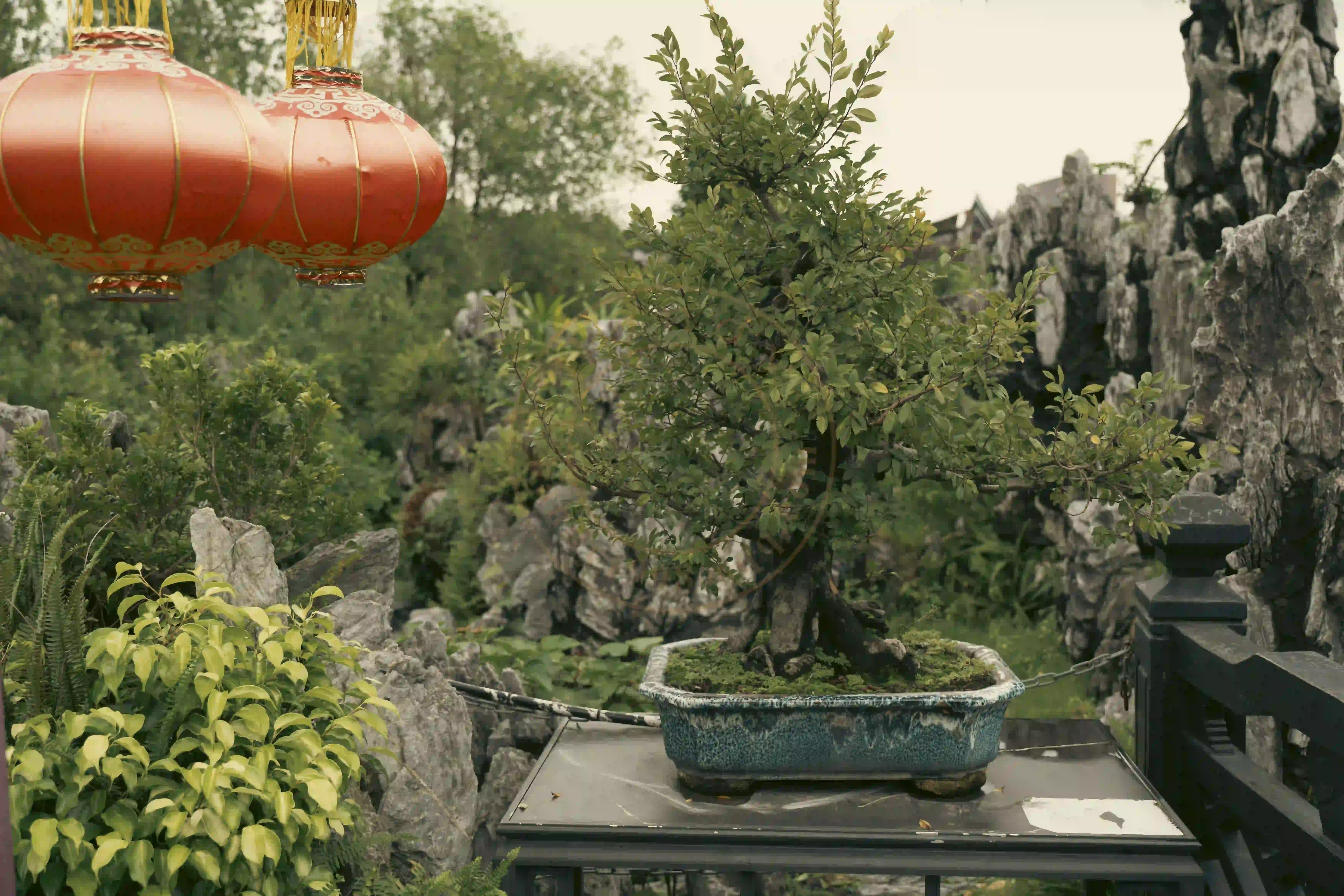 <h2 class='text-xl text-white'></h2>