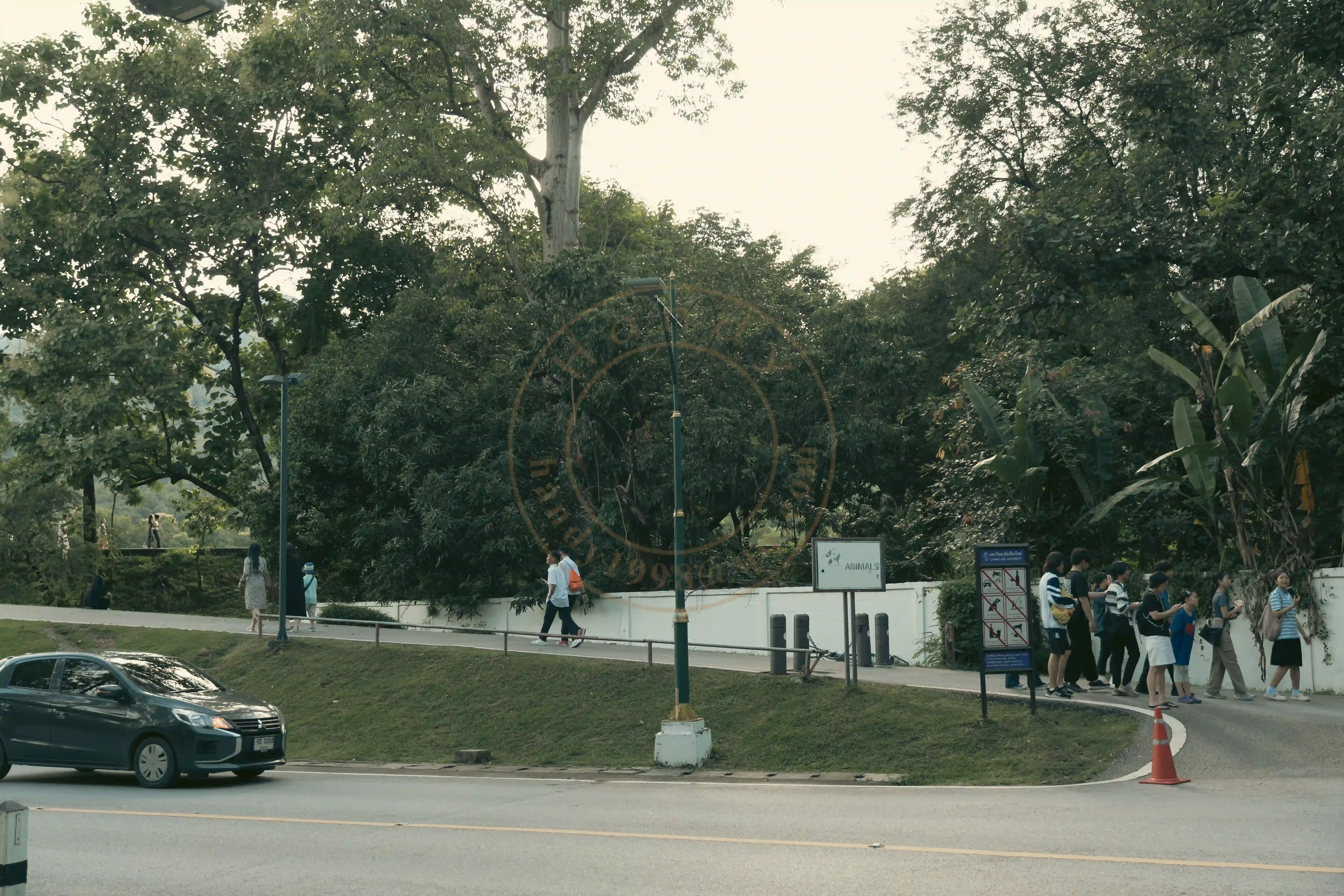 <h2 class='text-xl text-white'></h2>