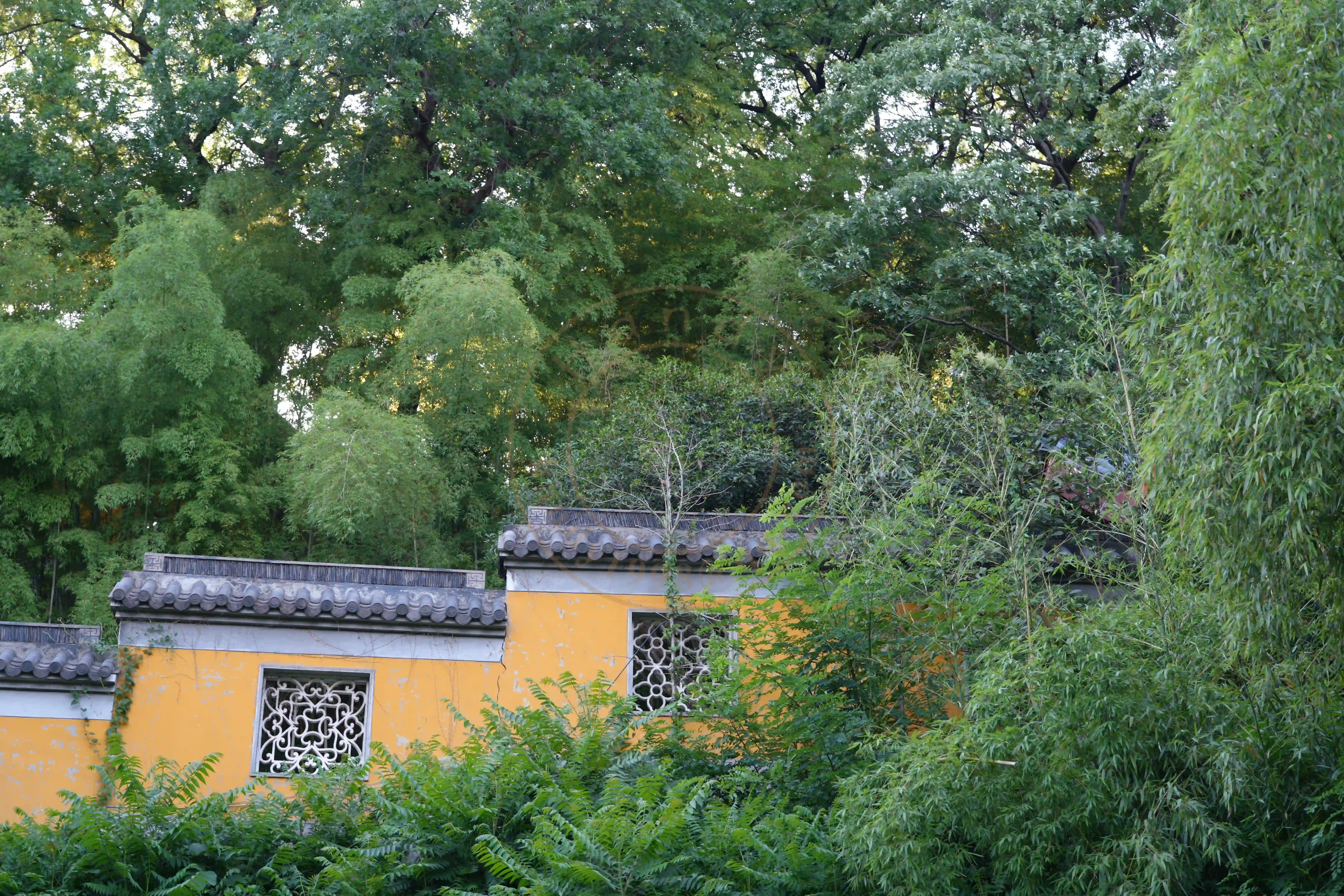 <h2 class='text-xl text-white'></h2>