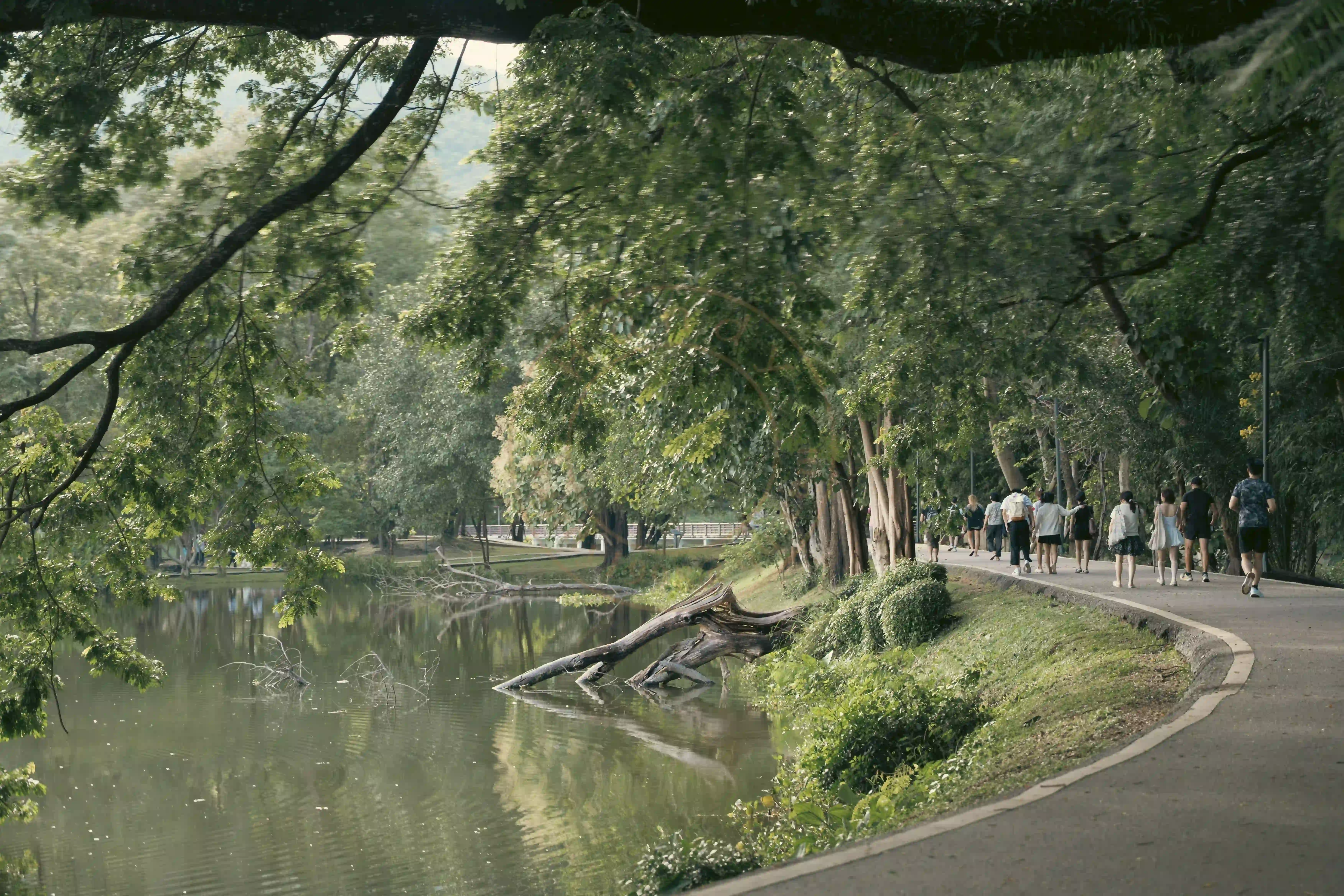 <h2 class='text-xl text-white'></h2>