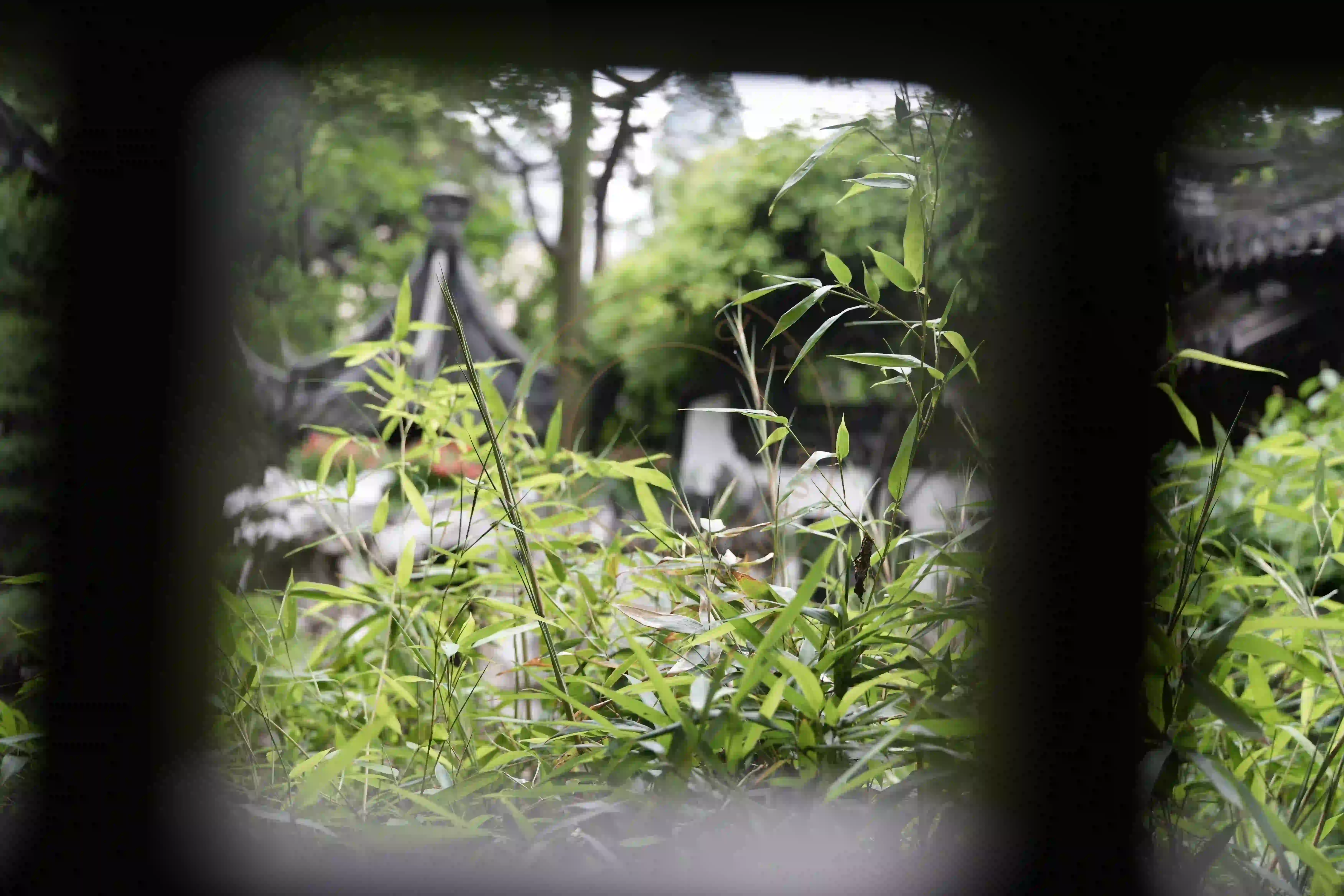 <h2 class='text-xl text-white'></h2>