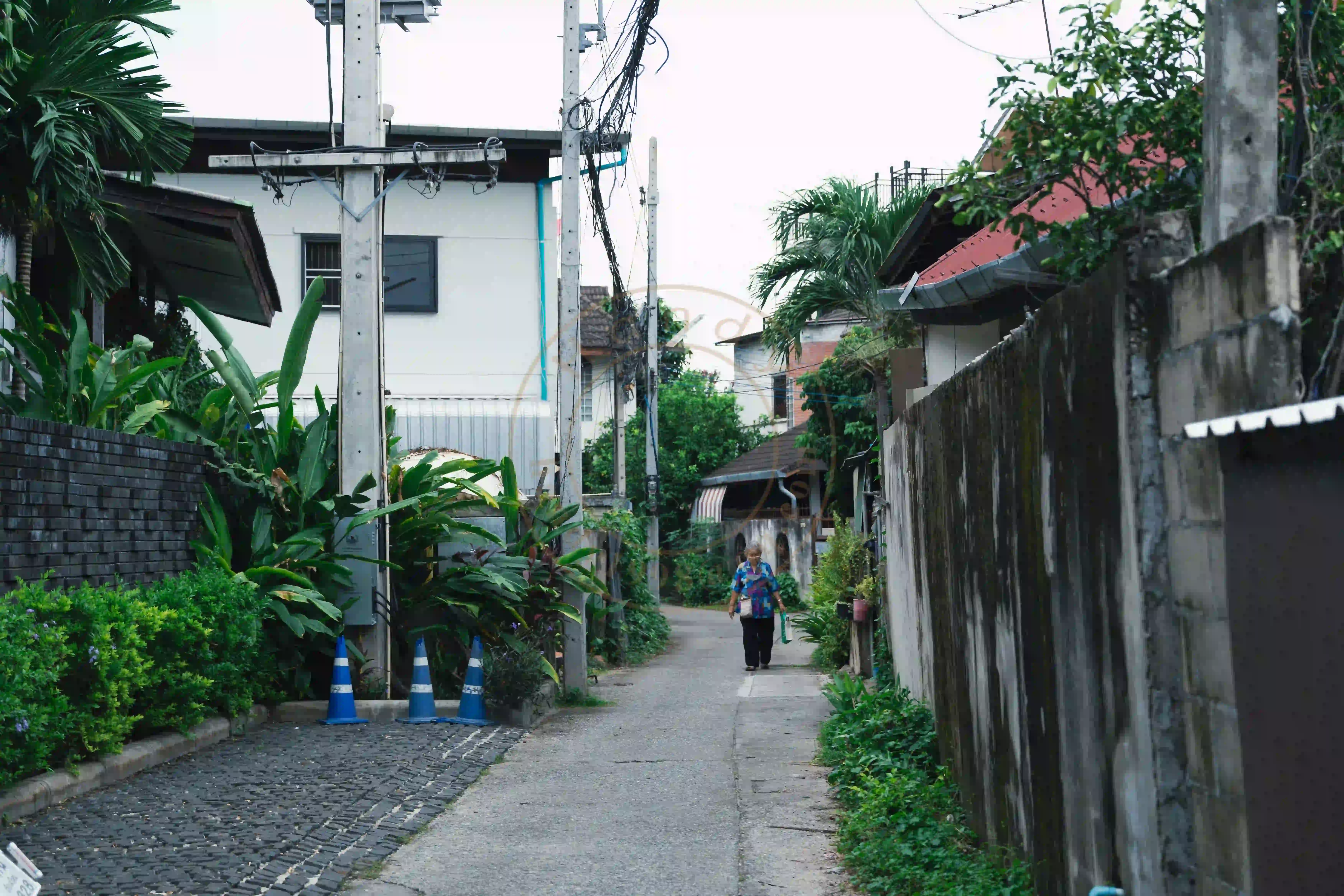 <h2 class='text-xl text-white'></h2>