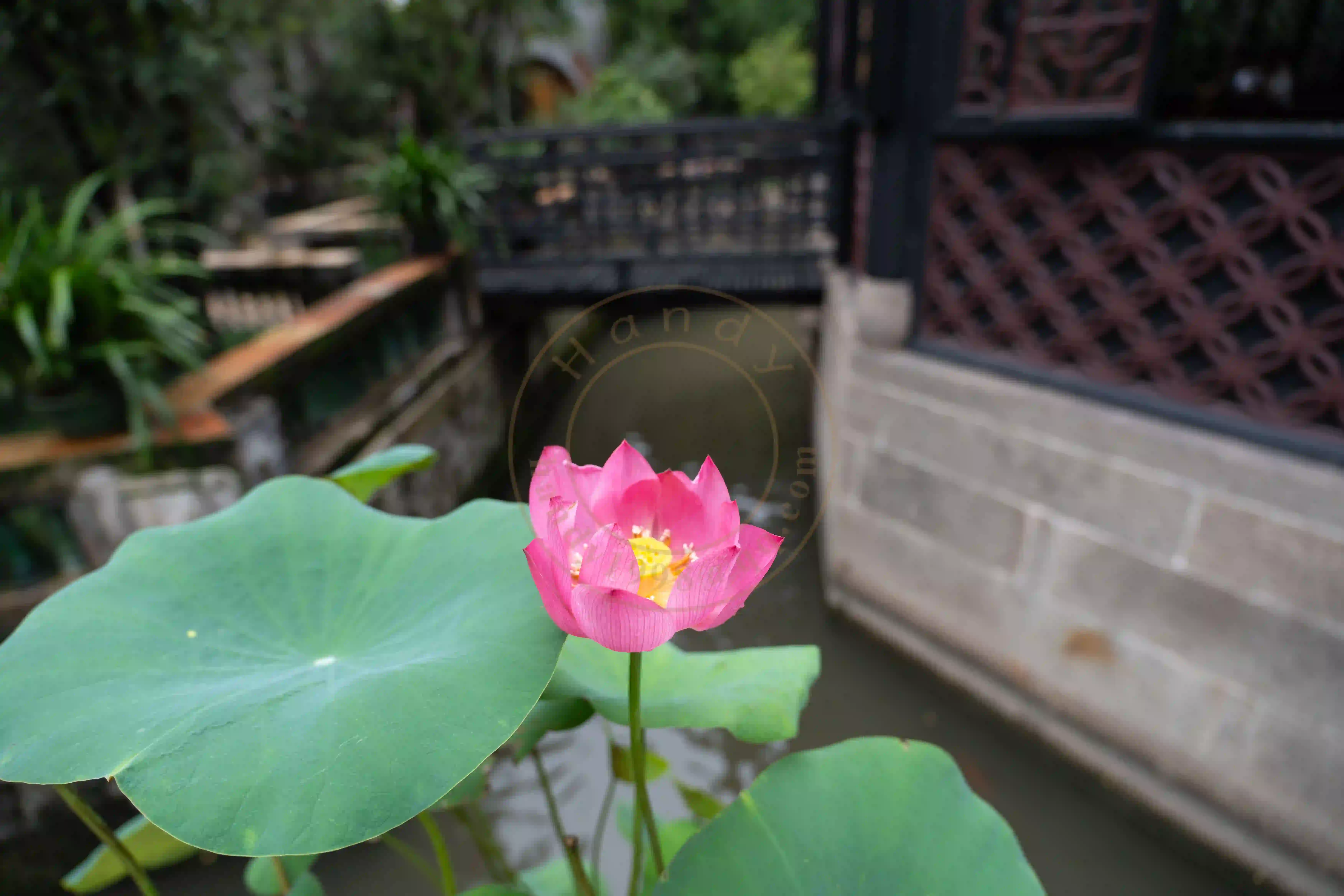 <h2 class='text-xl text-white'></h2>