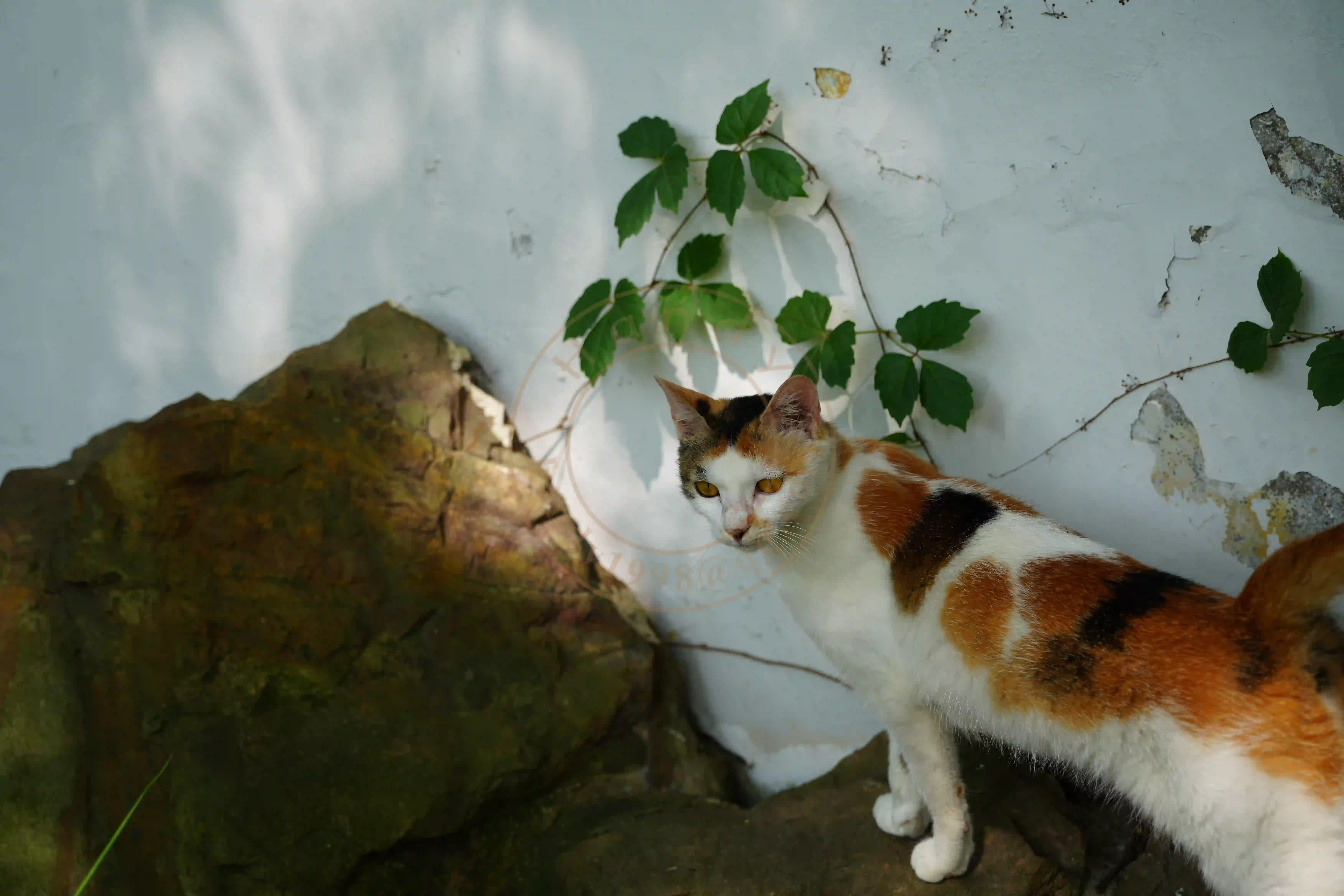 <h2 class='text-xl text-white'></h2>