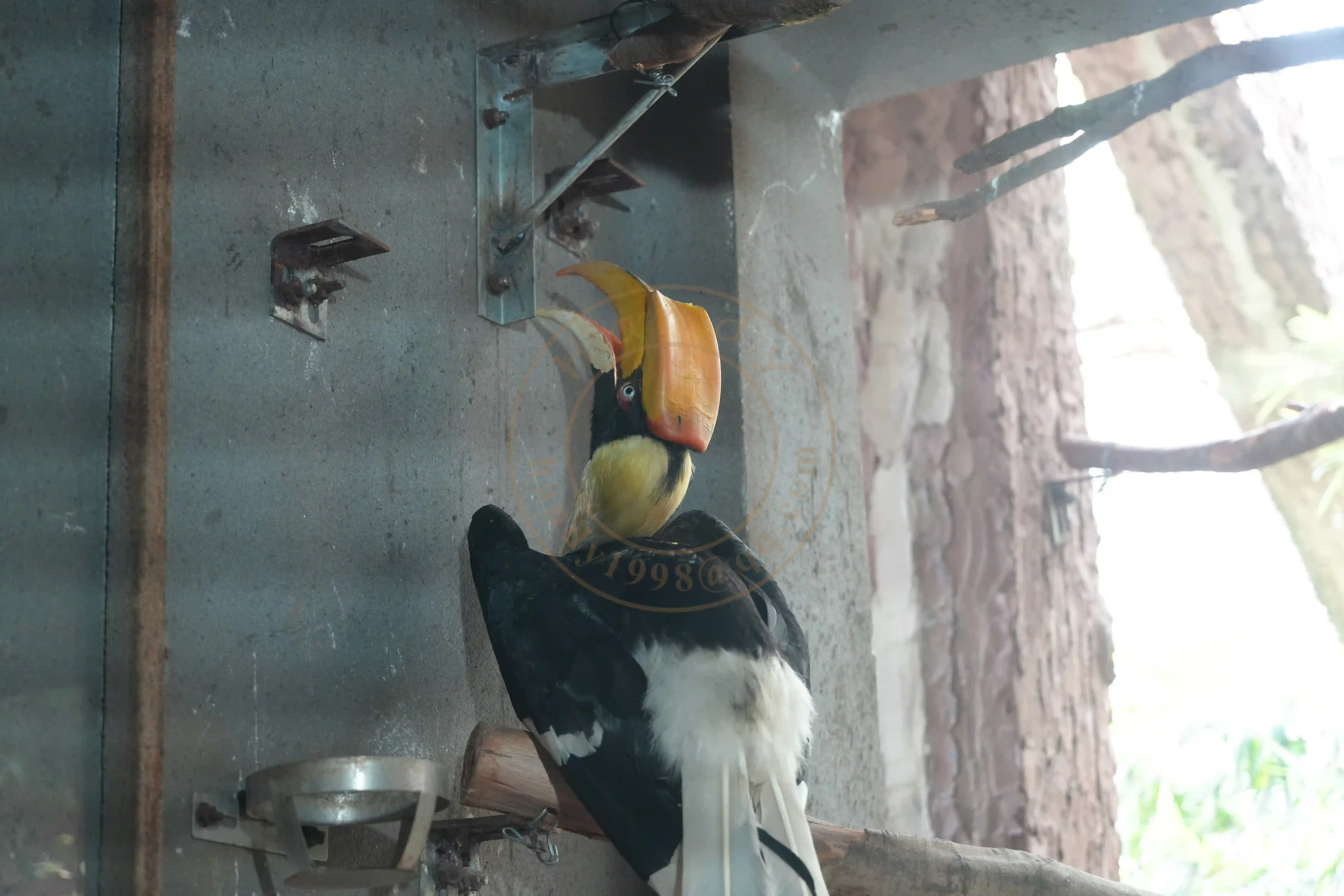 <h2 class='text-xl text-white'></h2>