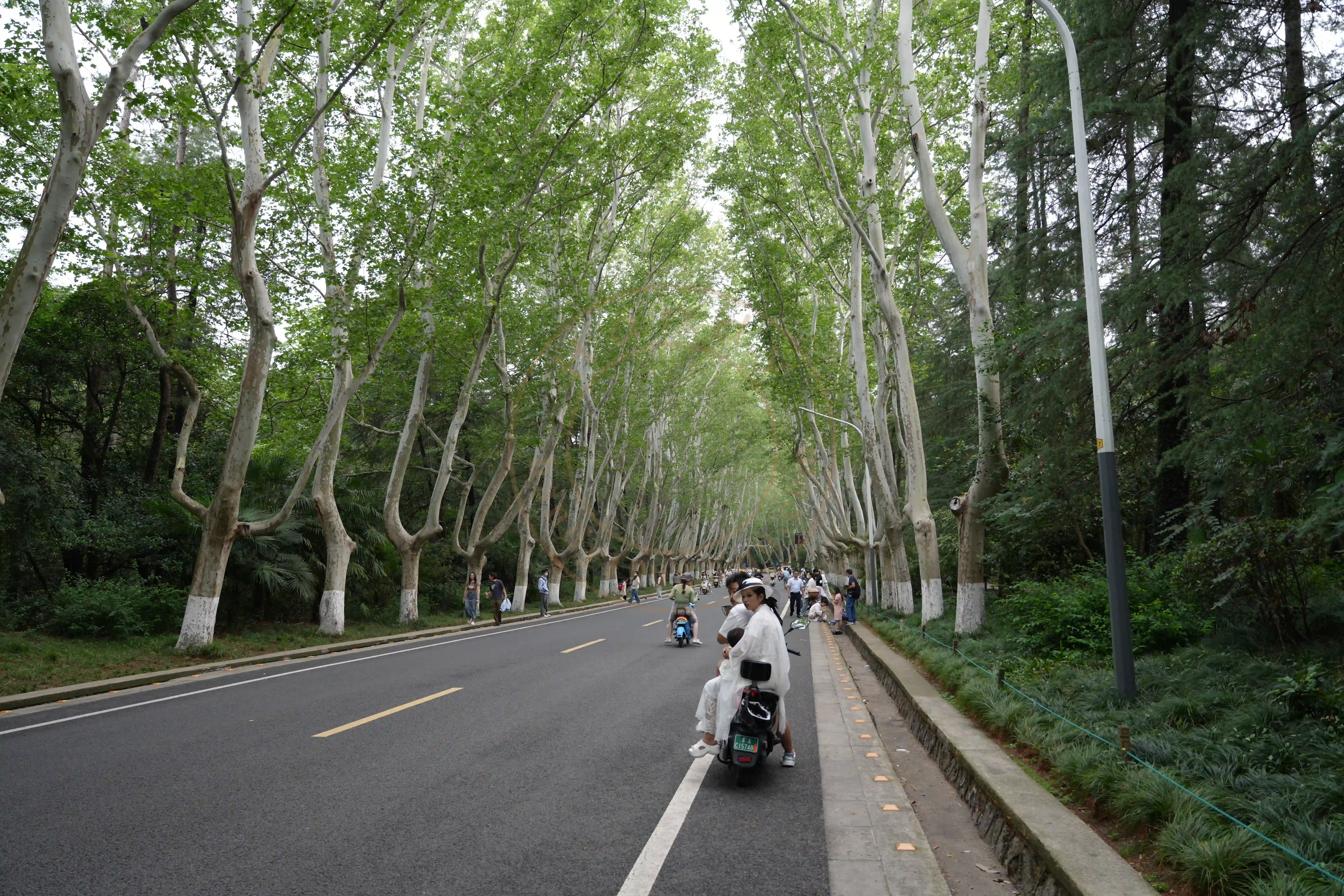 <h2 class='text-xl text-white'></h2>