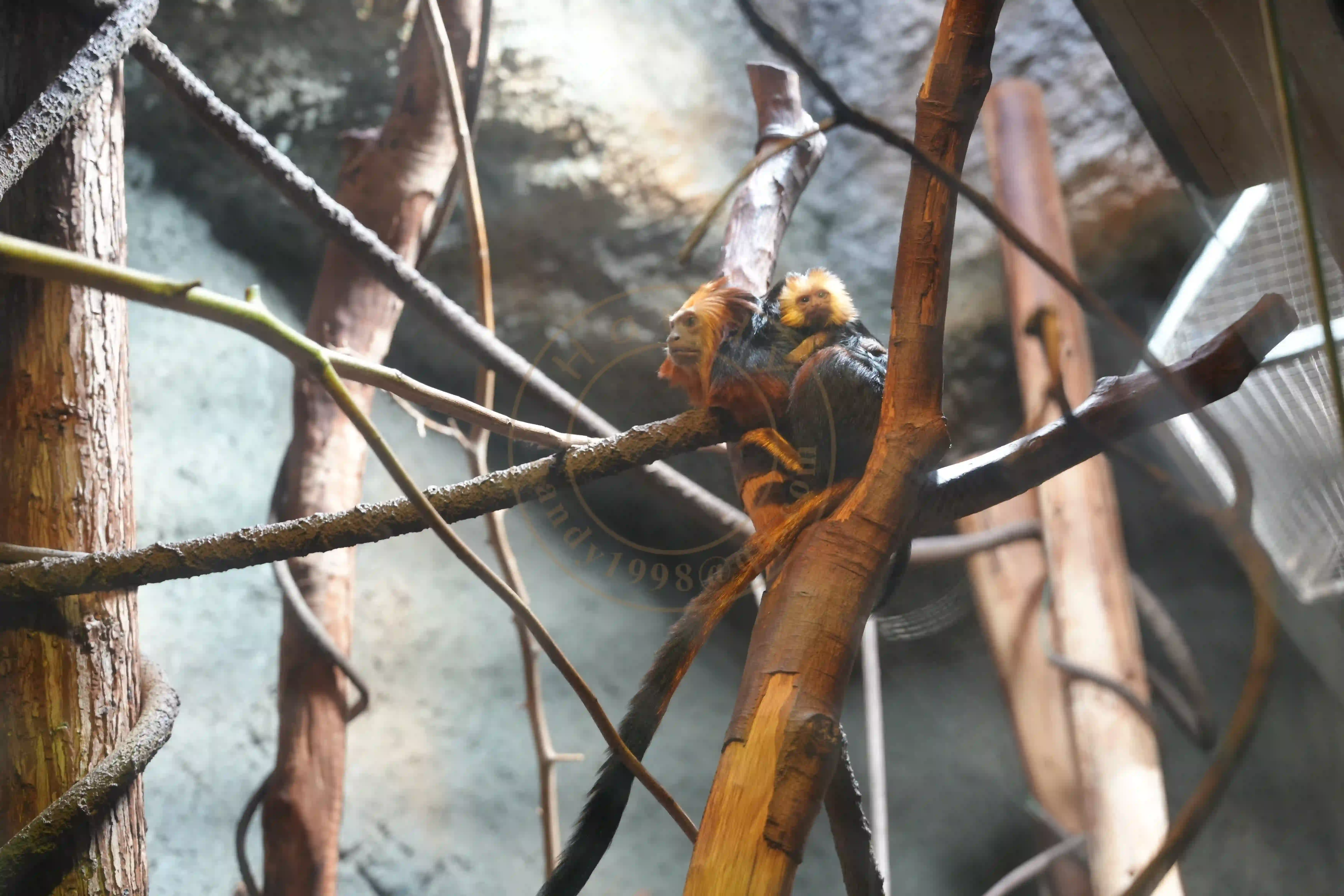 <h2 class='text-xl text-white'></h2>