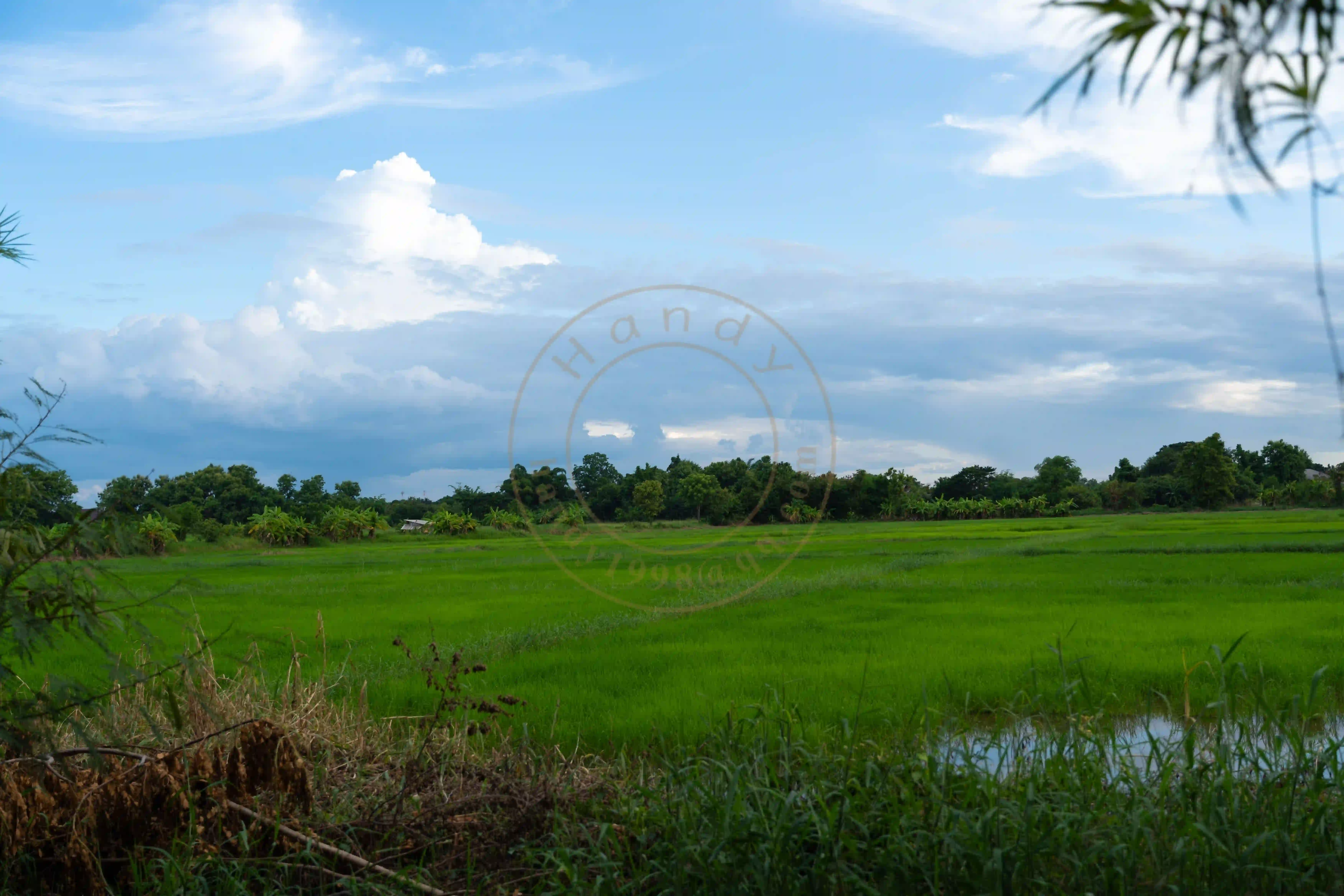 <h2 class='text-xl text-white'></h2>