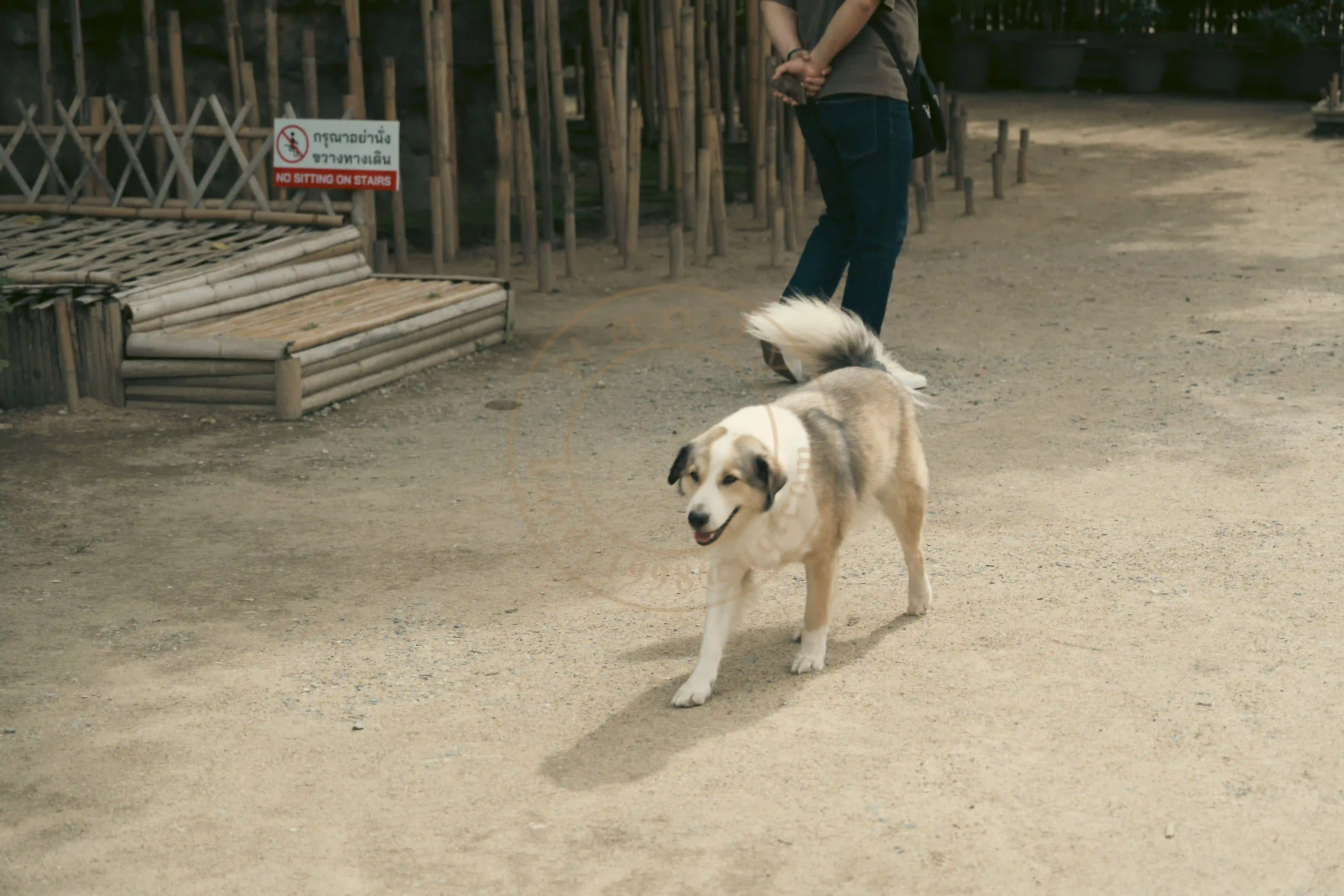 <h2 class='text-xl text-white'></h2>