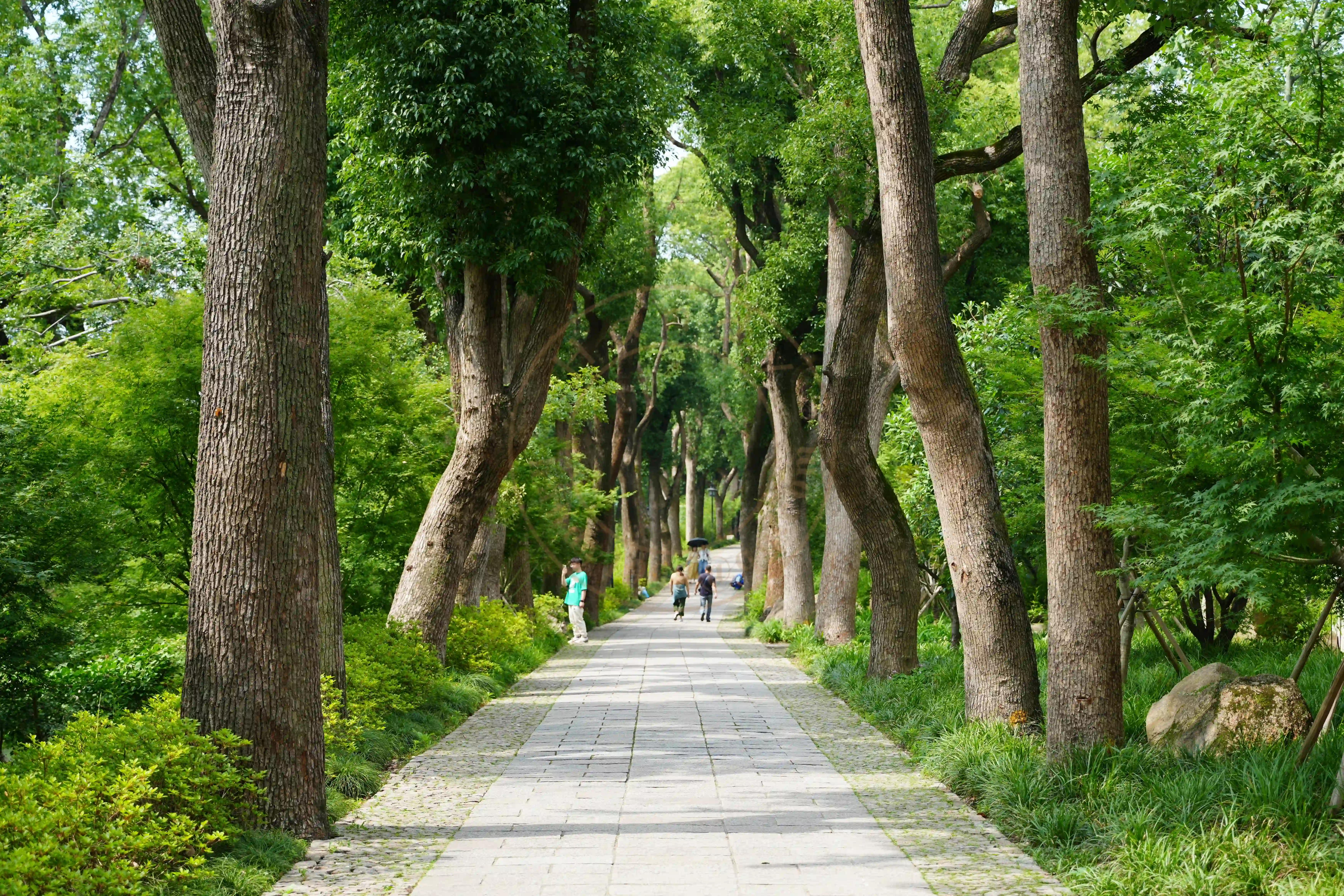 <h2 class='text-xl text-white'></h2>