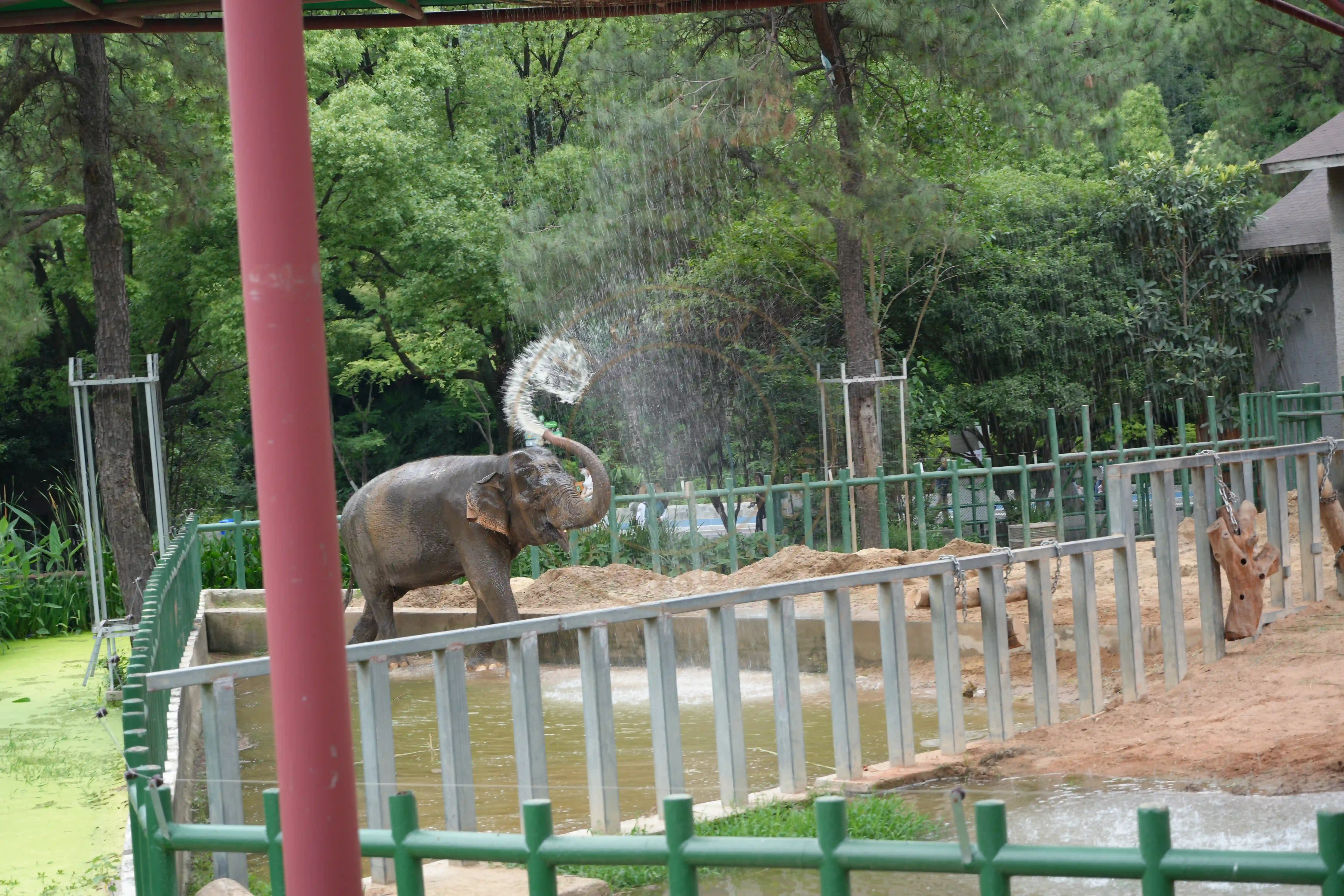 <h2 class='text-xl text-white'></h2>