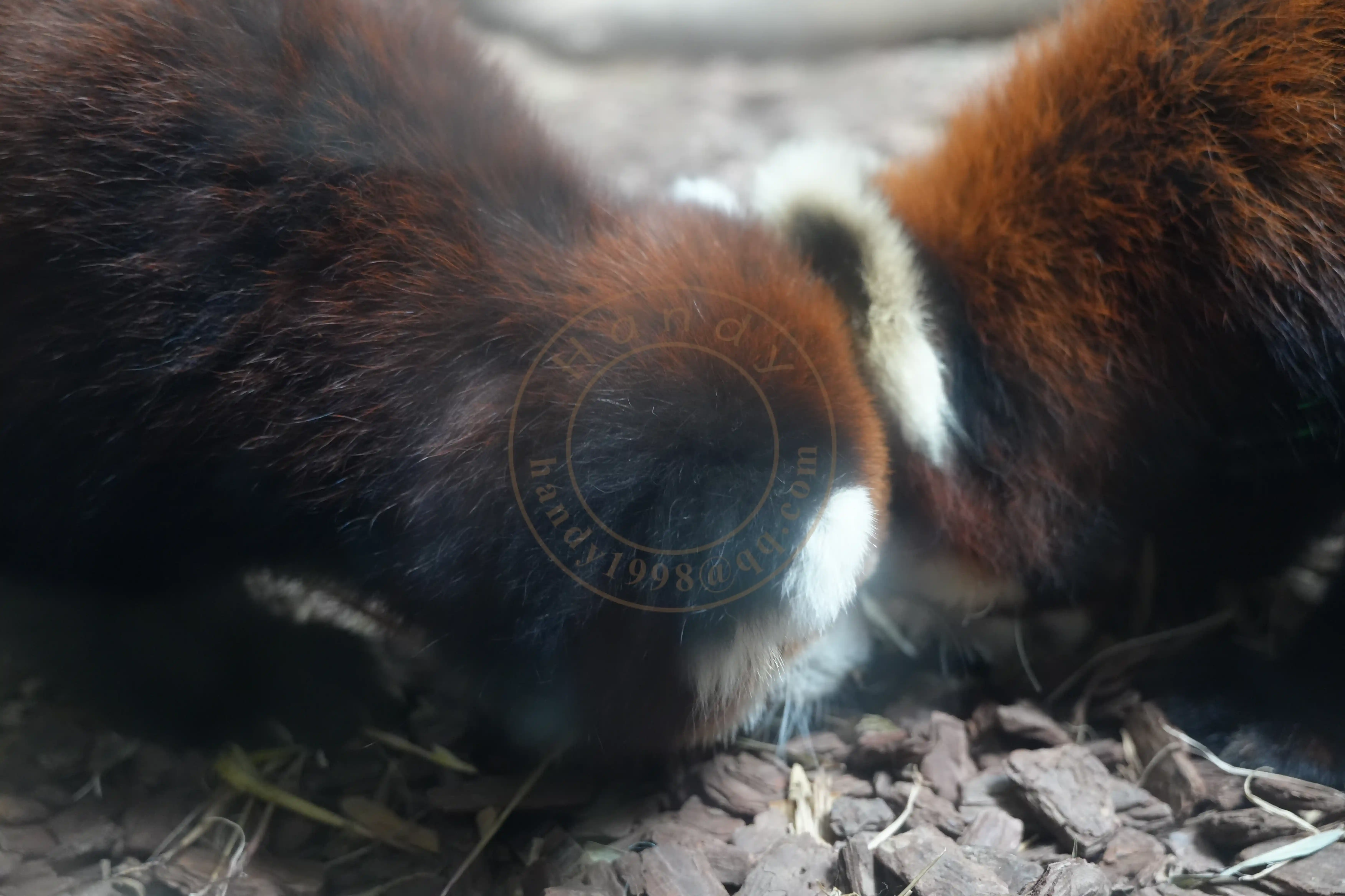 <h2 class='text-xl text-white'></h2>