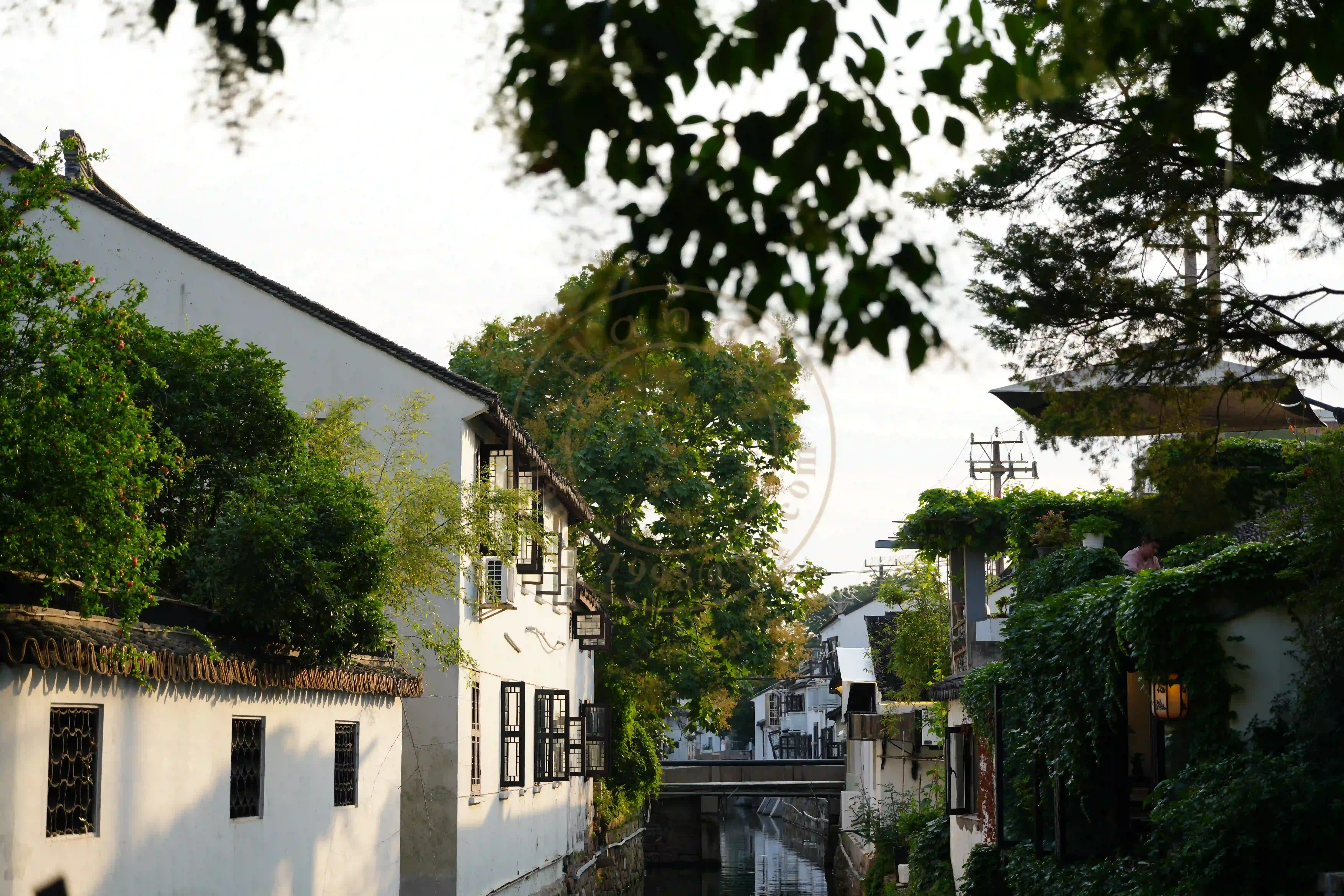 <h2 class='text-xl text-white'></h2>