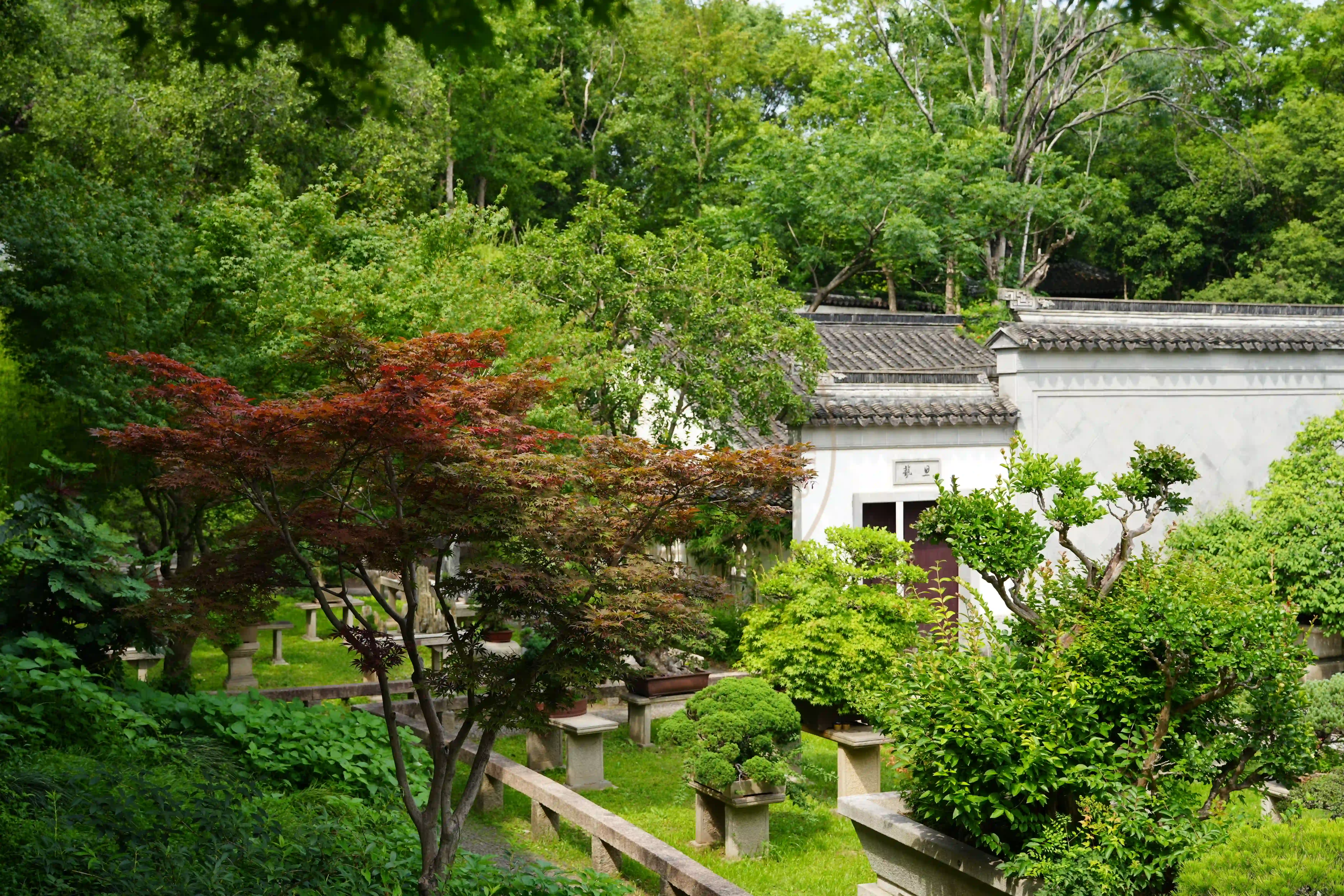 <h2 class='text-xl text-white'></h2>