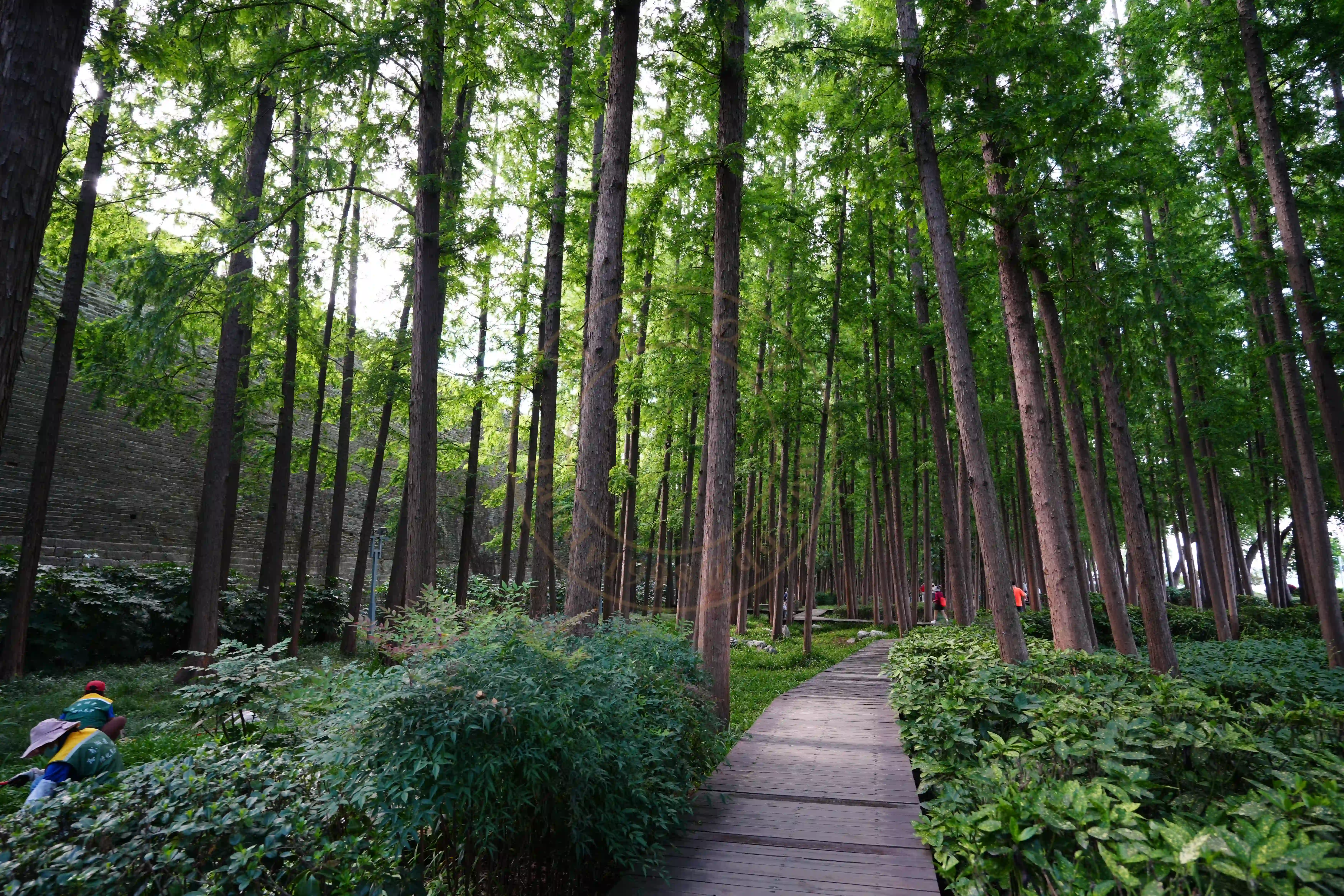 <h2 class='text-xl text-white'></h2>