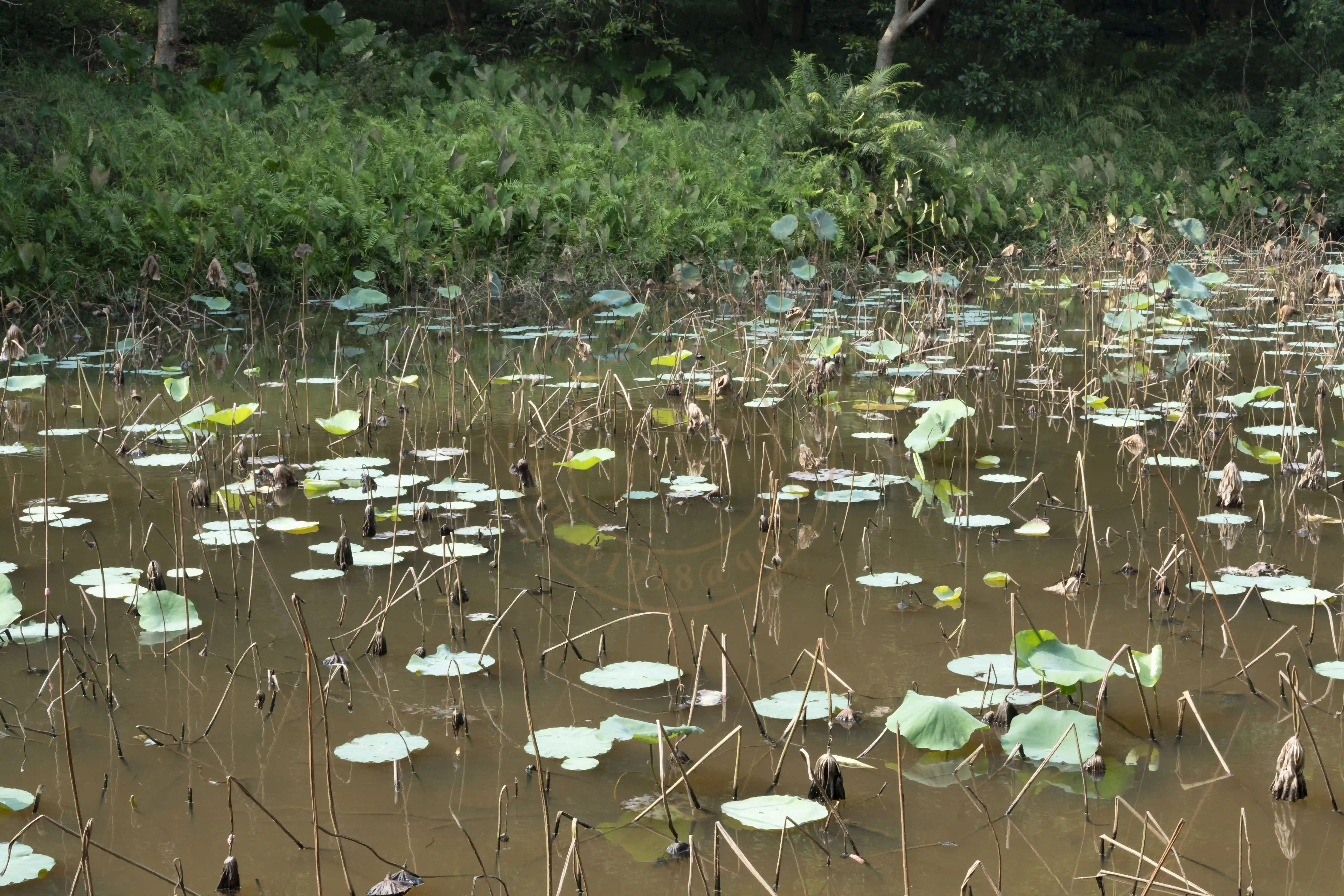 <h2 class='text-xl text-white'></h2>