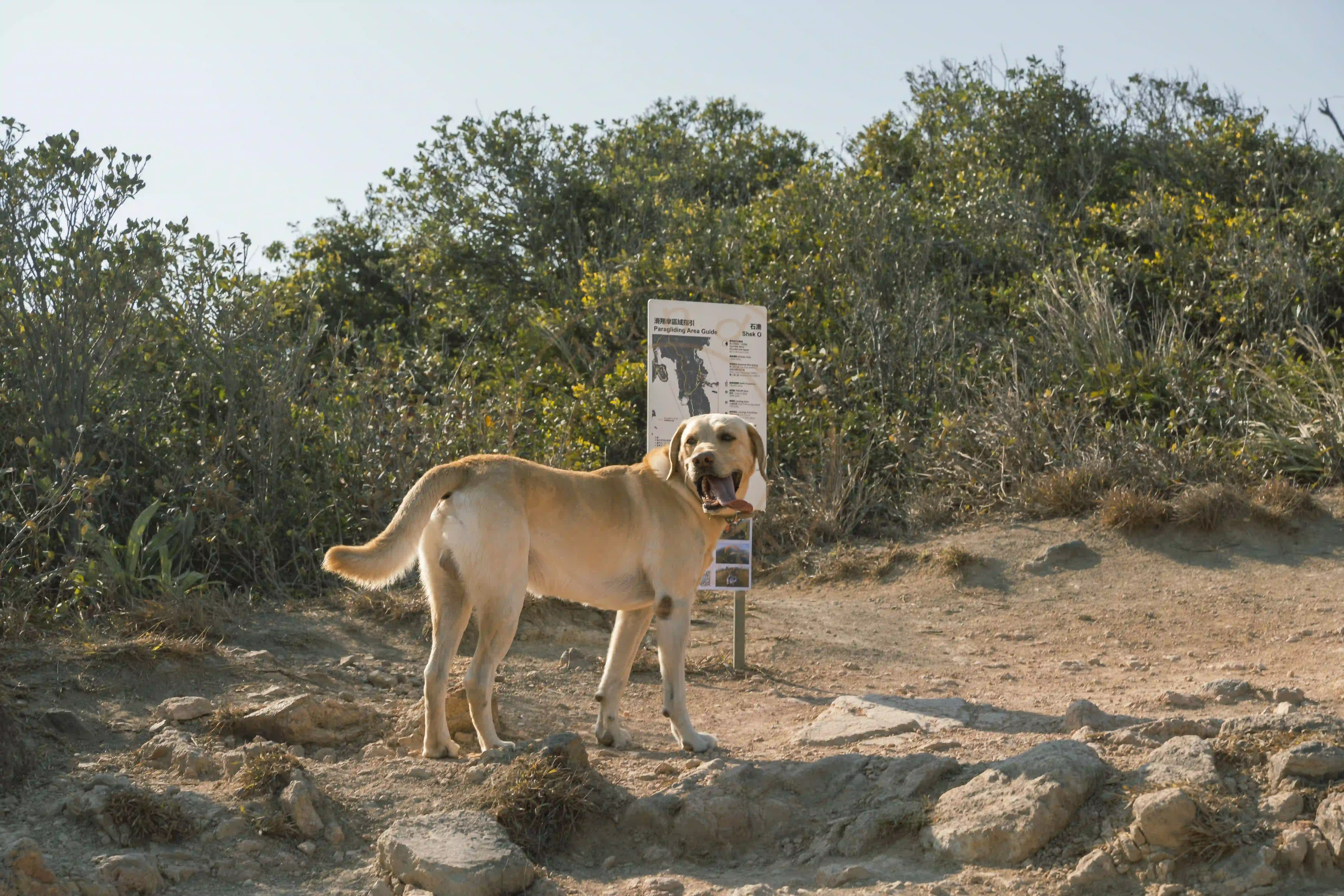 <h2 class='text-xl text-white'></h2>