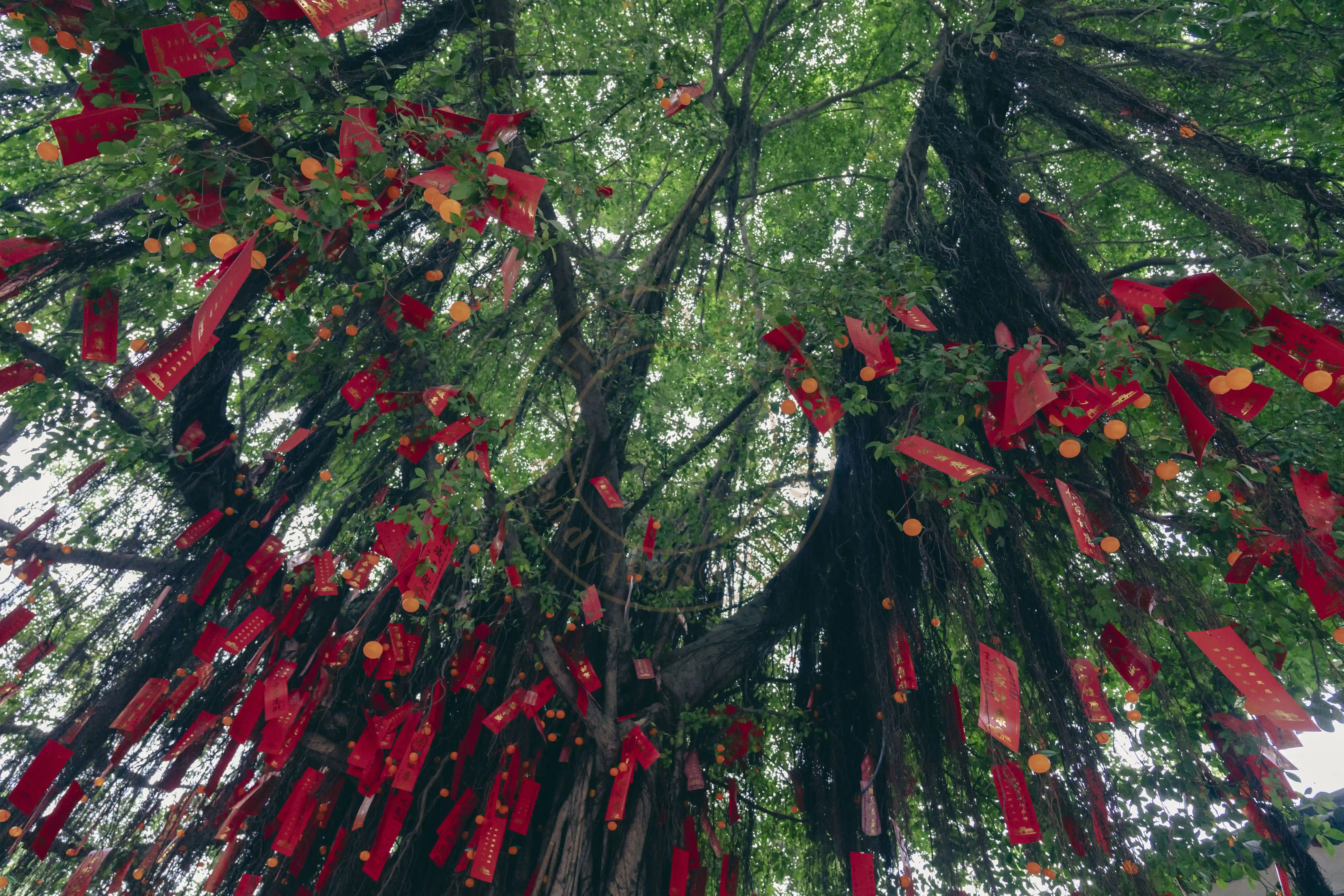 <h2 class='text-xl text-white'></h2>