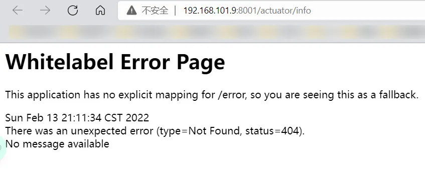 image-20220213211159537