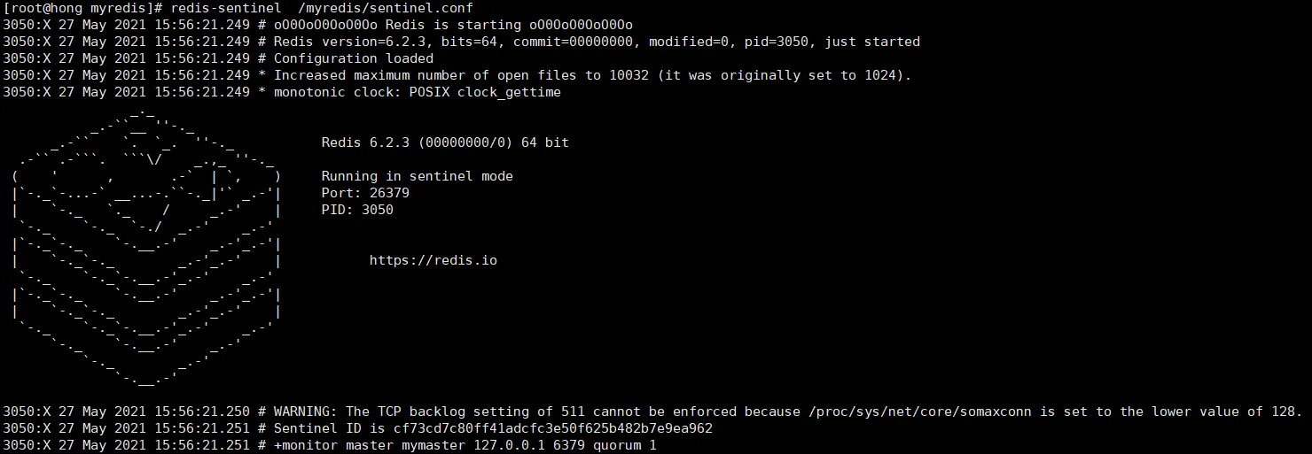 image-20210527155651250