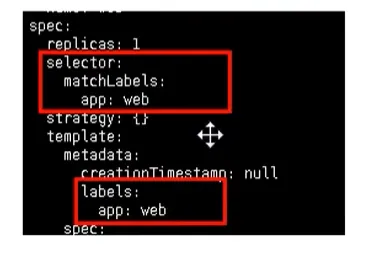 image-20201116093638951