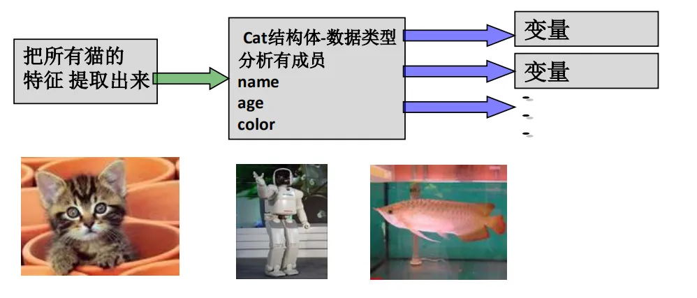 image-20201026174344084