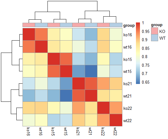 Grouping of samples based on similarity of their base peak chromatogram