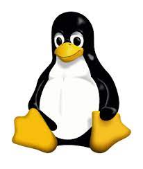 清除 Linux 登录记录